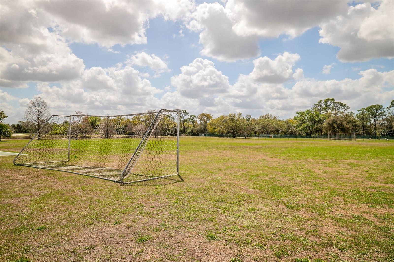 Image 63 of 67 For 13339 Swallowtail Drive