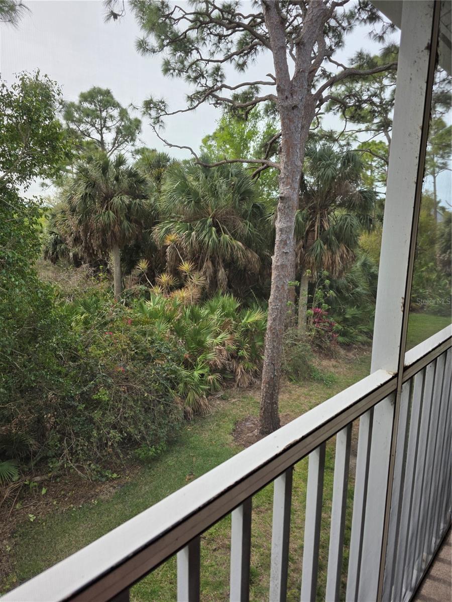 Image 16 of 33 For 4645 Tower Hill Lane 2521