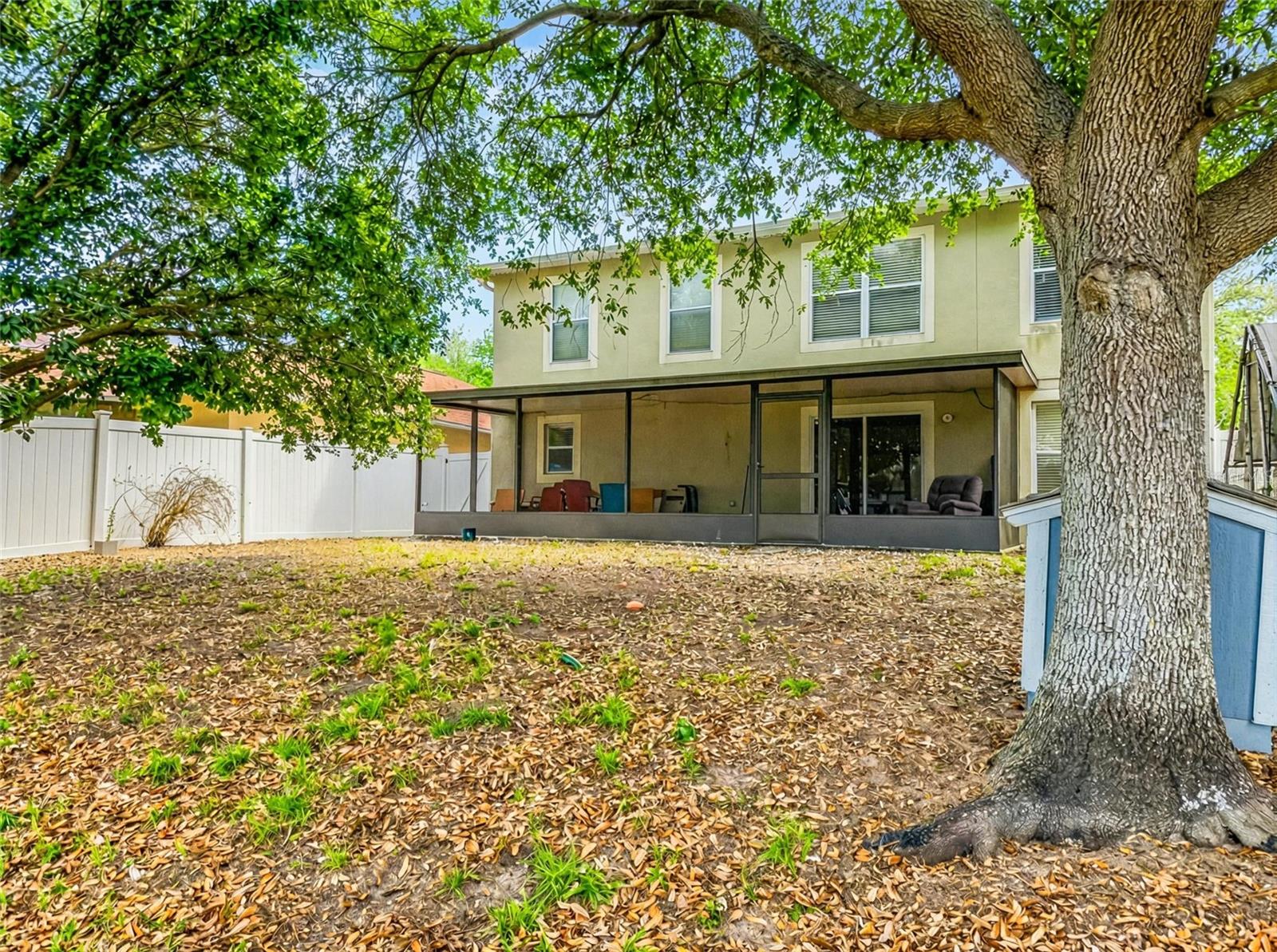 Image 19 of 20 For 217 Tres Reyes Lane