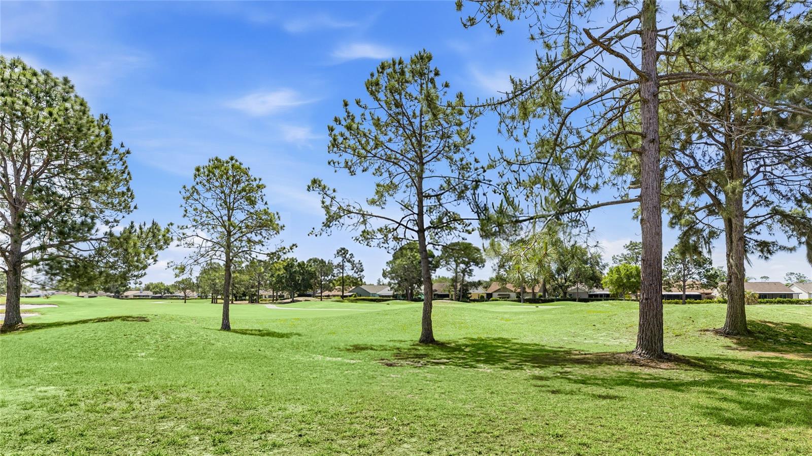 Listing photo id 36 for 10810 Sailbrooke Drive