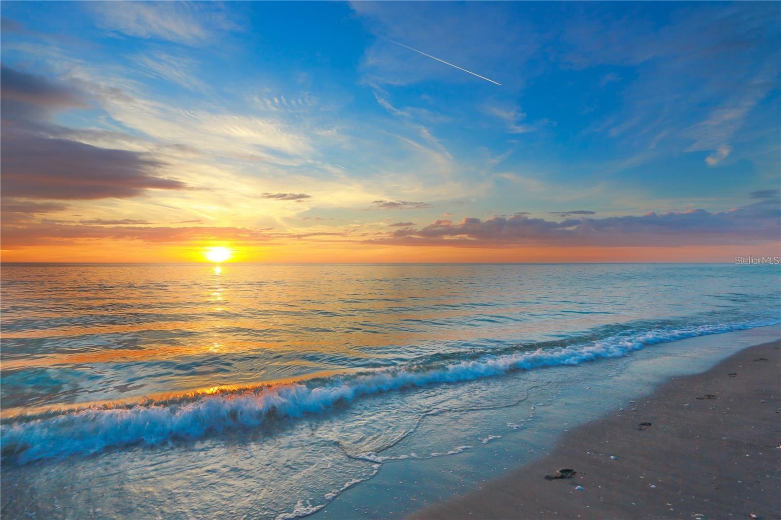 Image 28 of 56 For 404 Polk Drive