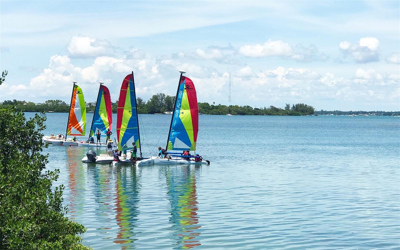 Image 32 of 56 For 404 Polk Drive