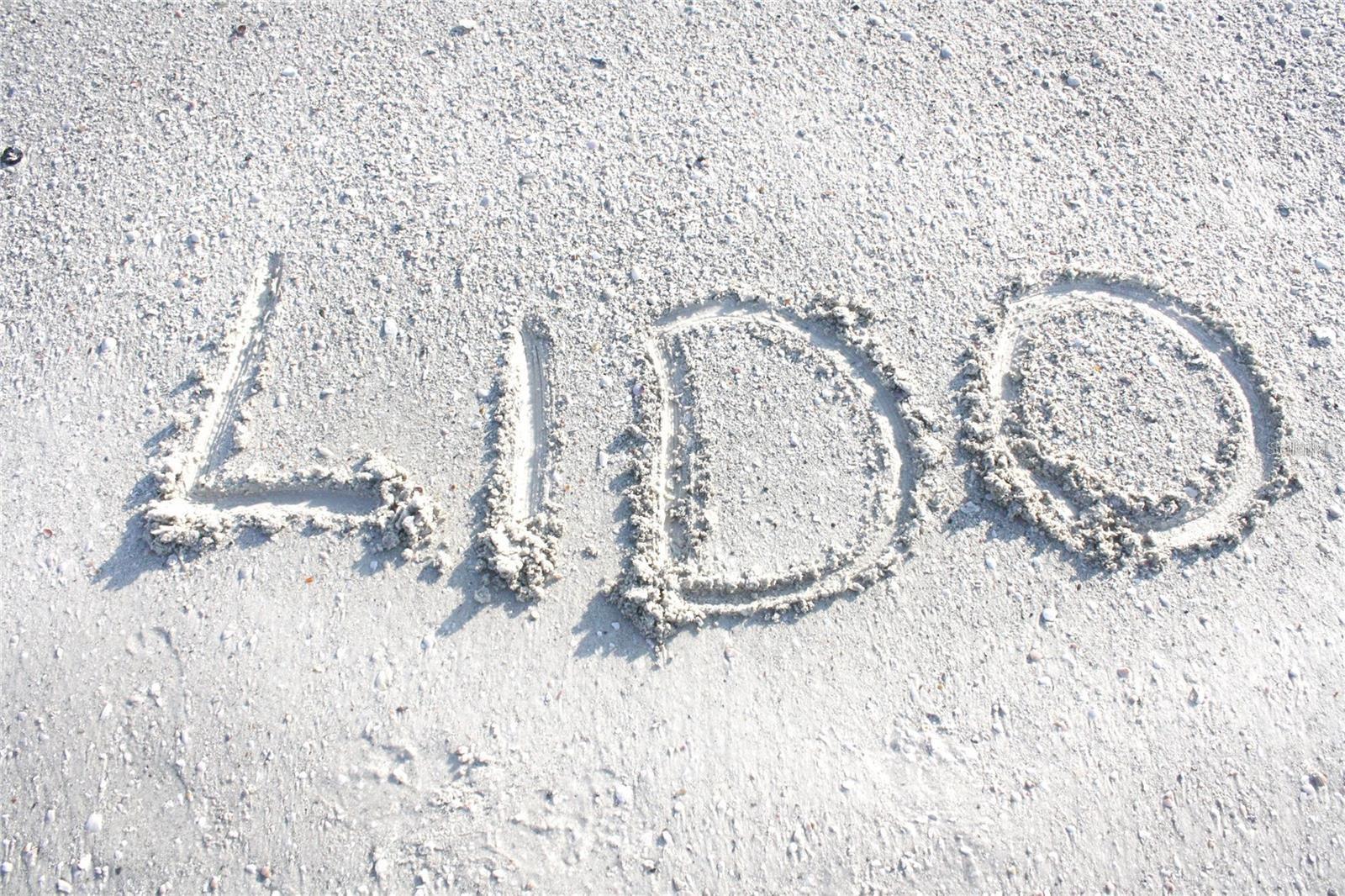 Image 34 of 56 For 404 Polk Drive