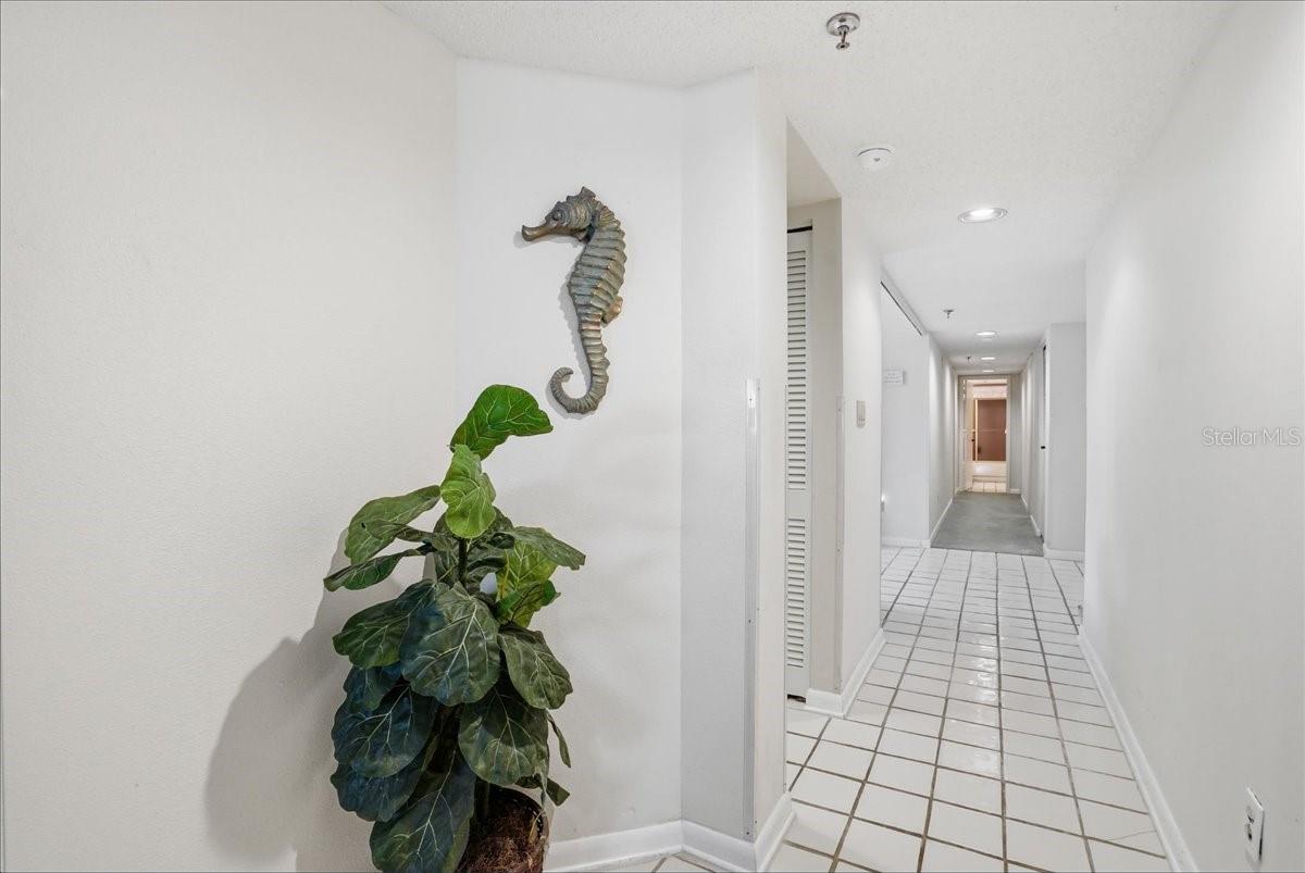 Image 21 of 44 For 5611 Gulf Of Mexico Drive 3