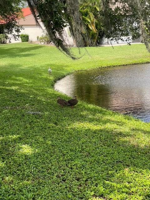 Image 25 of 50 For 6519 Draw Lane 79