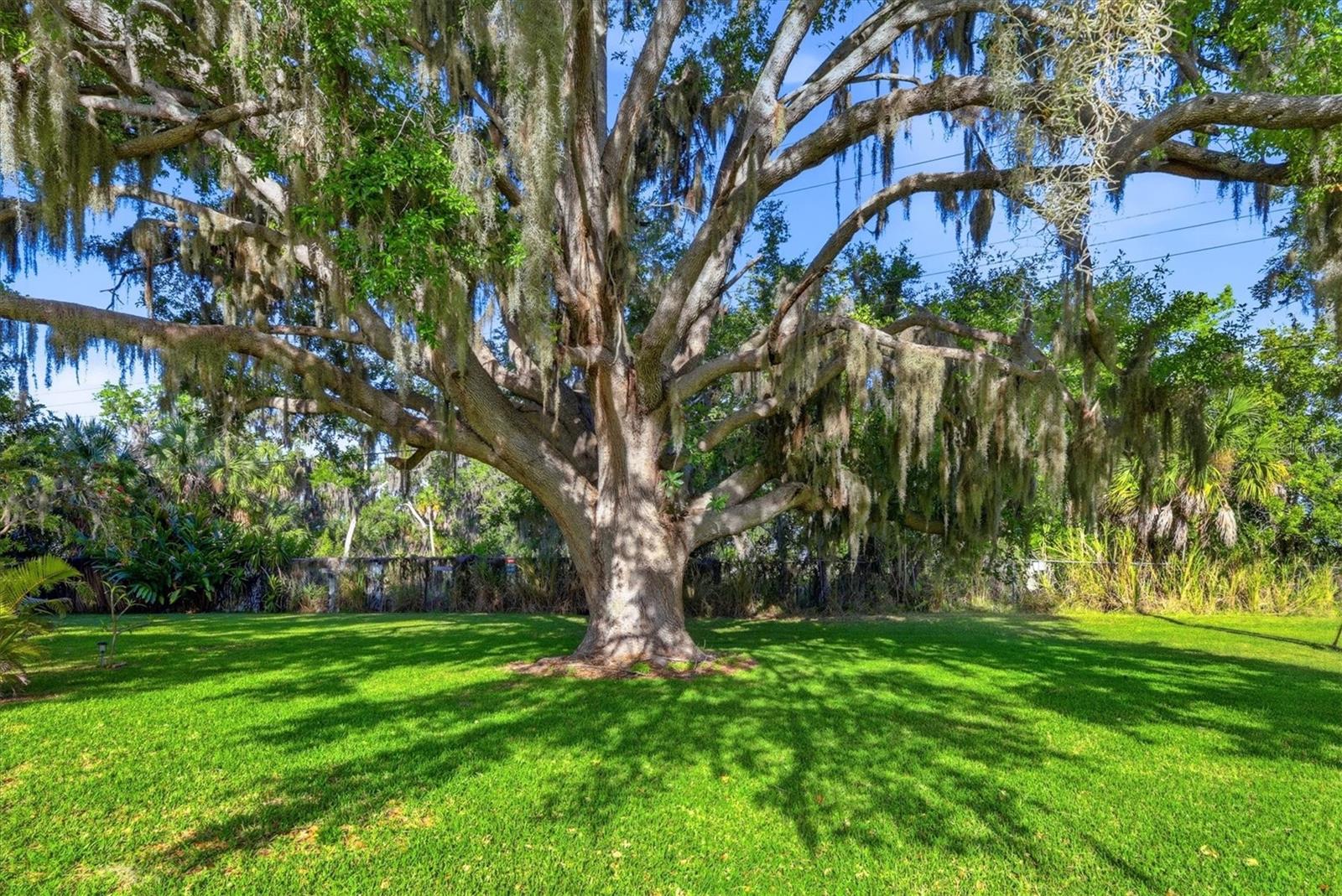 Image 23 of 48 For 1419 41st Avenue E