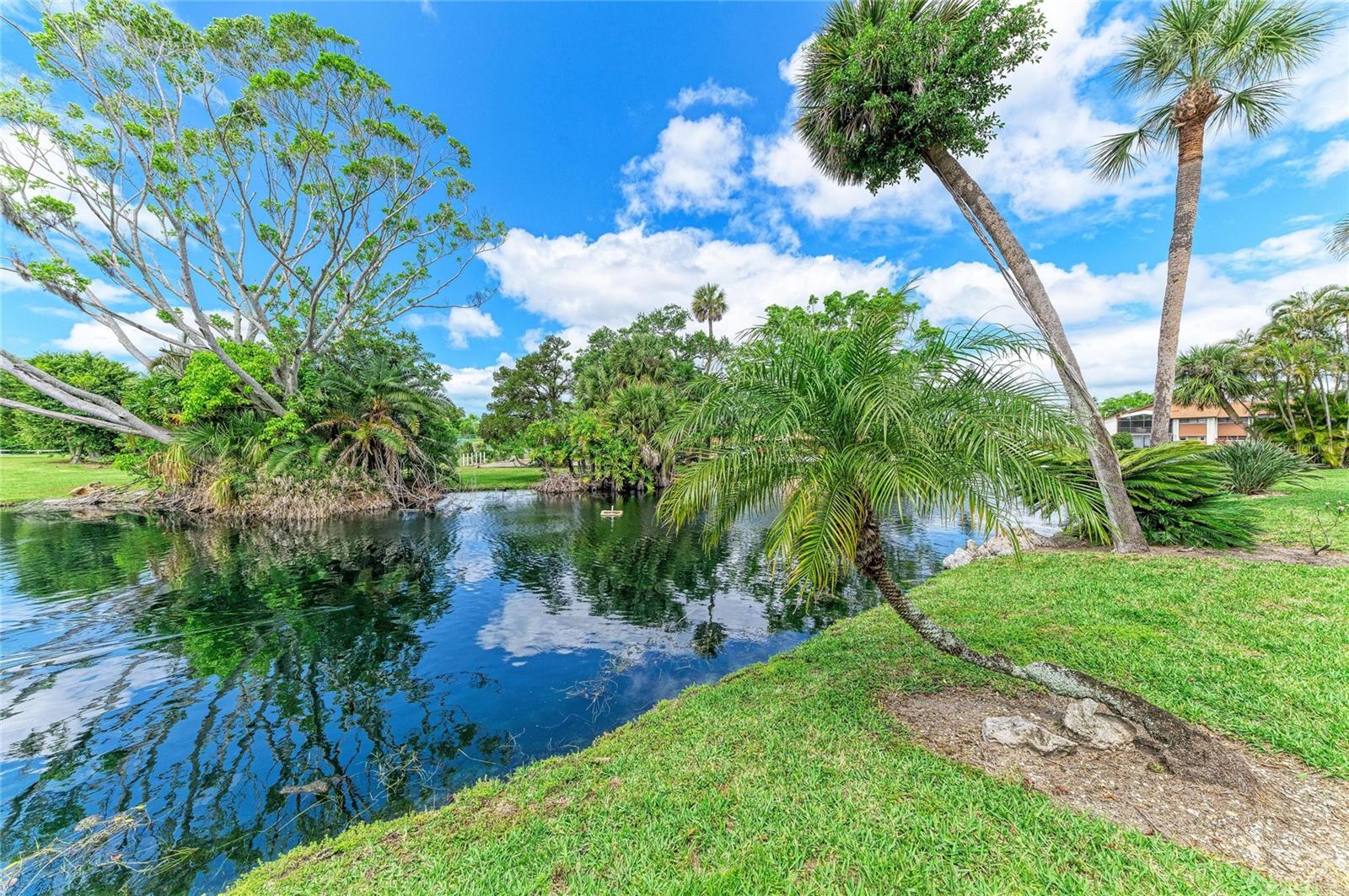 Image 30 of 42 For 4578 Red Maple Road 904