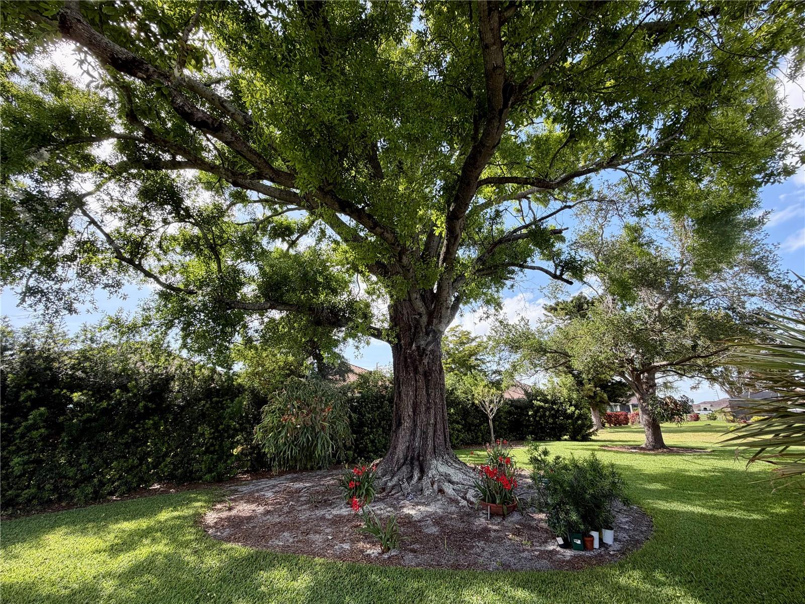 Image 4 of 6 For 1518 70th Street W