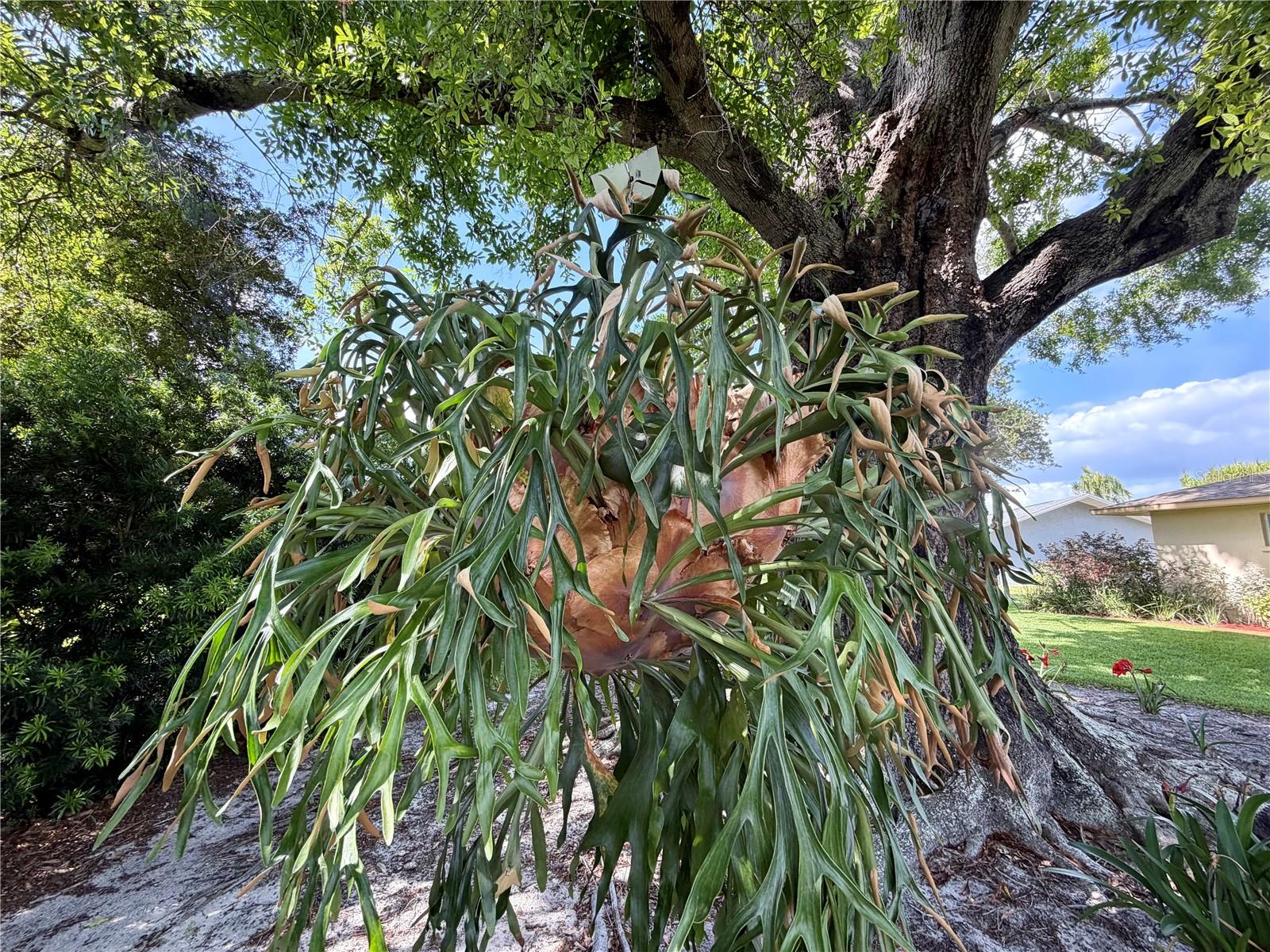 Image 5 of 6 For 1518 70th Street W