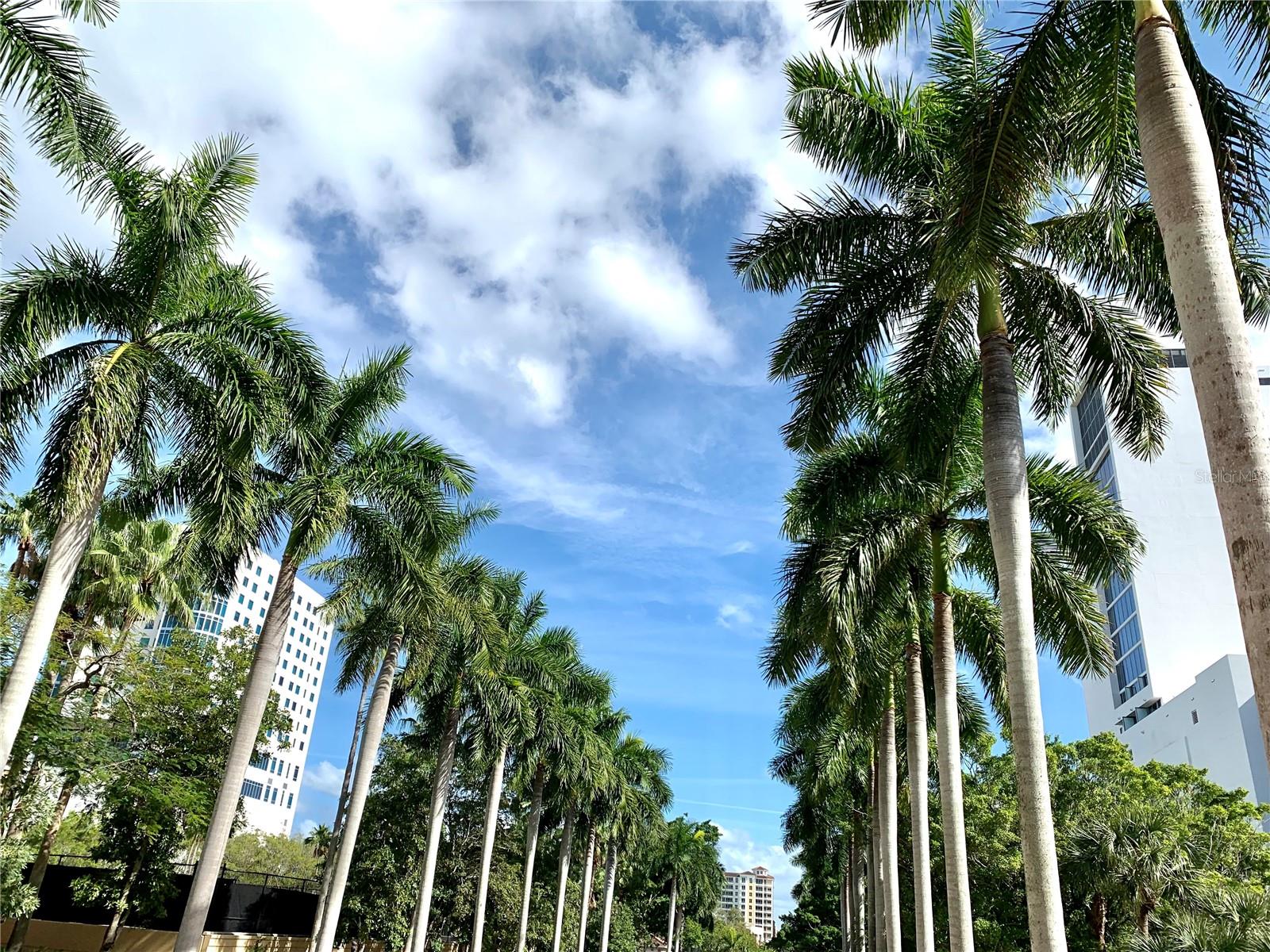 Image 69 of 82 For 5867 Helicon Place