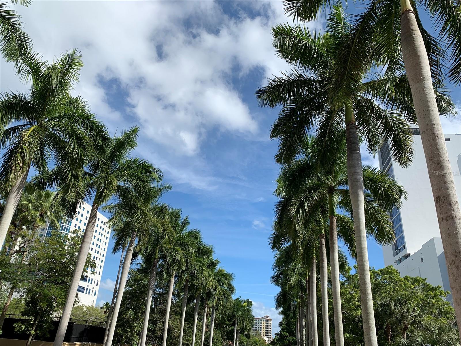 Image 72 of 82 For 5867 Helicon Place