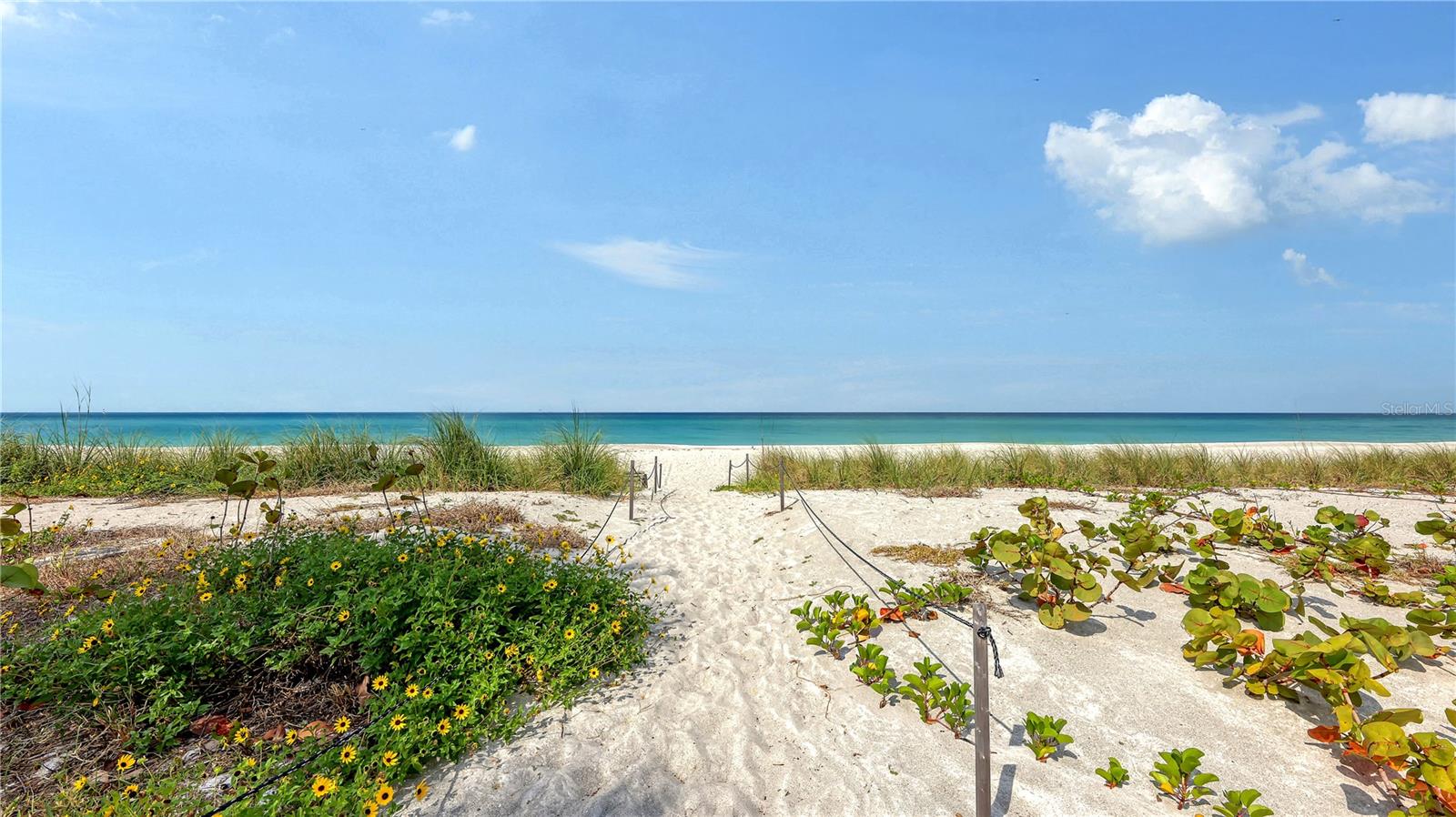Image 28 of 29 For 4825 Gulf Of Mexico Drive 504