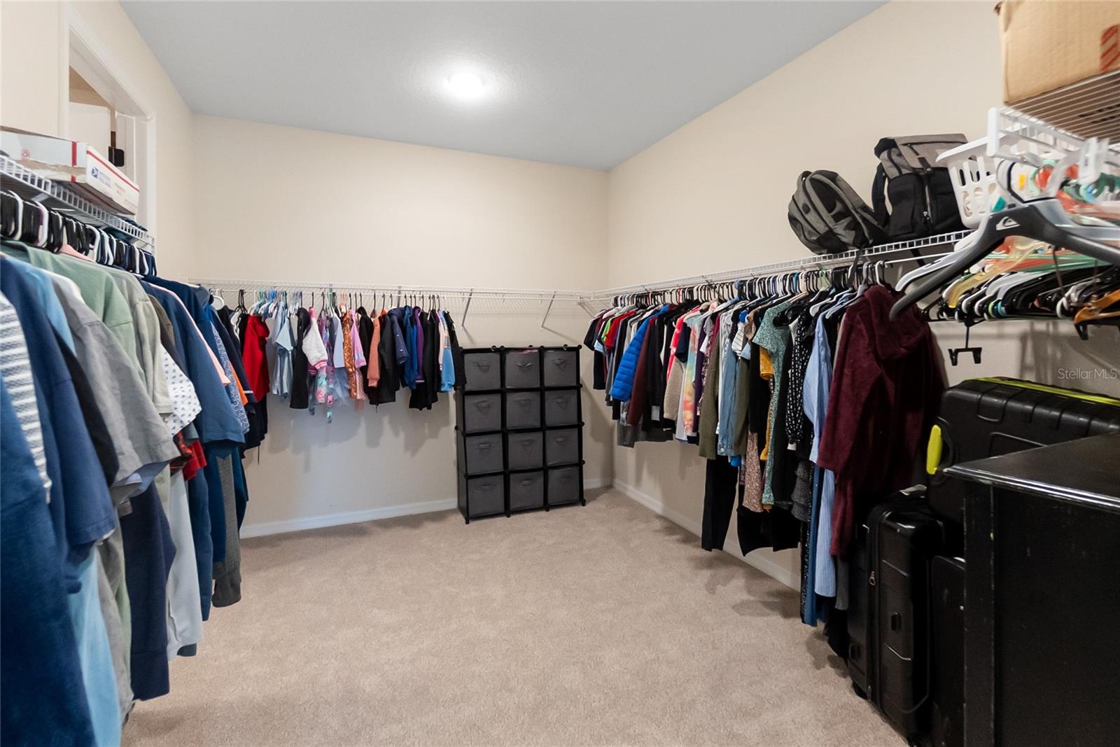 Image 23 of 60 For 12725 Lateral Root Drive