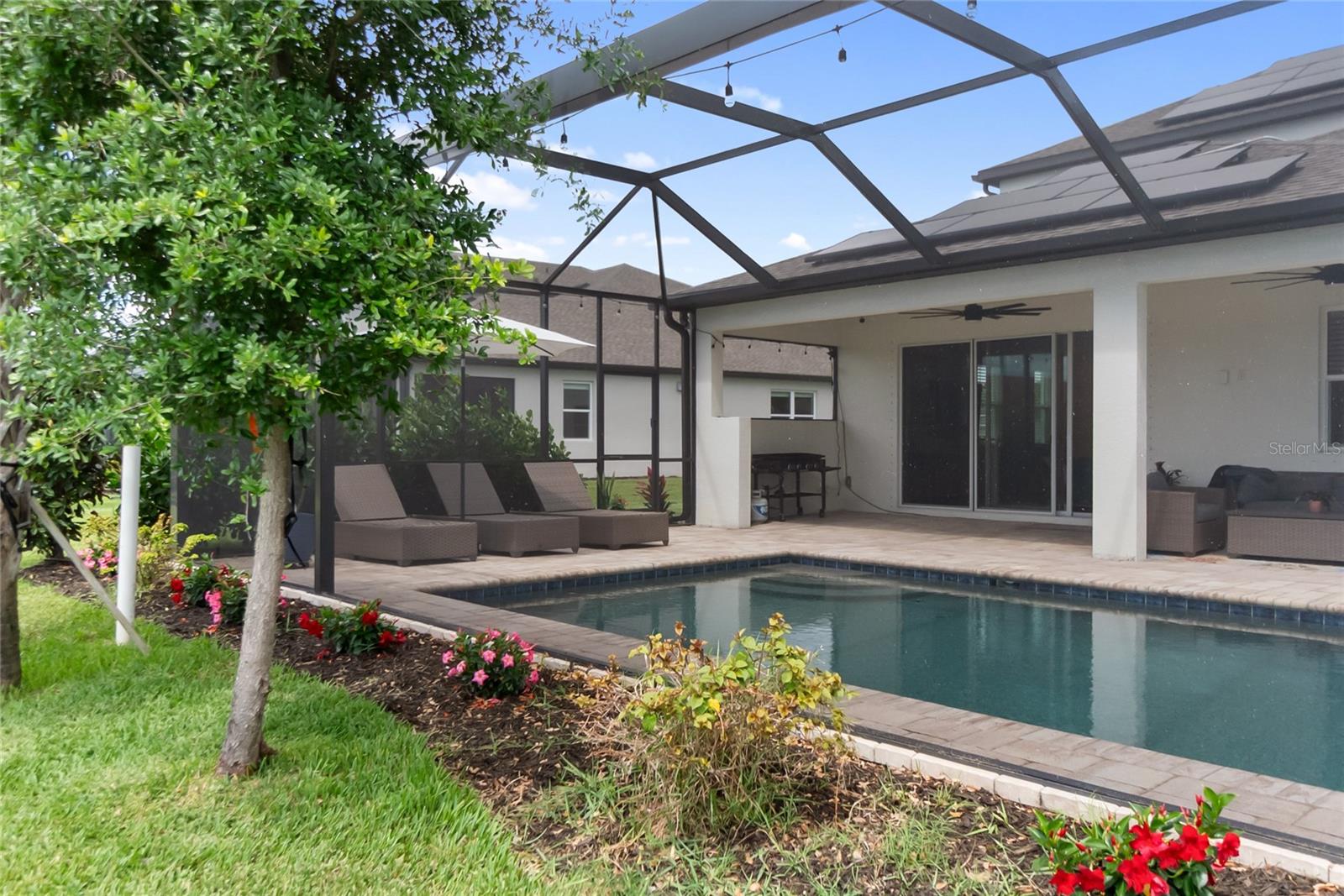 Image 36 of 60 For 12725 Lateral Root Drive