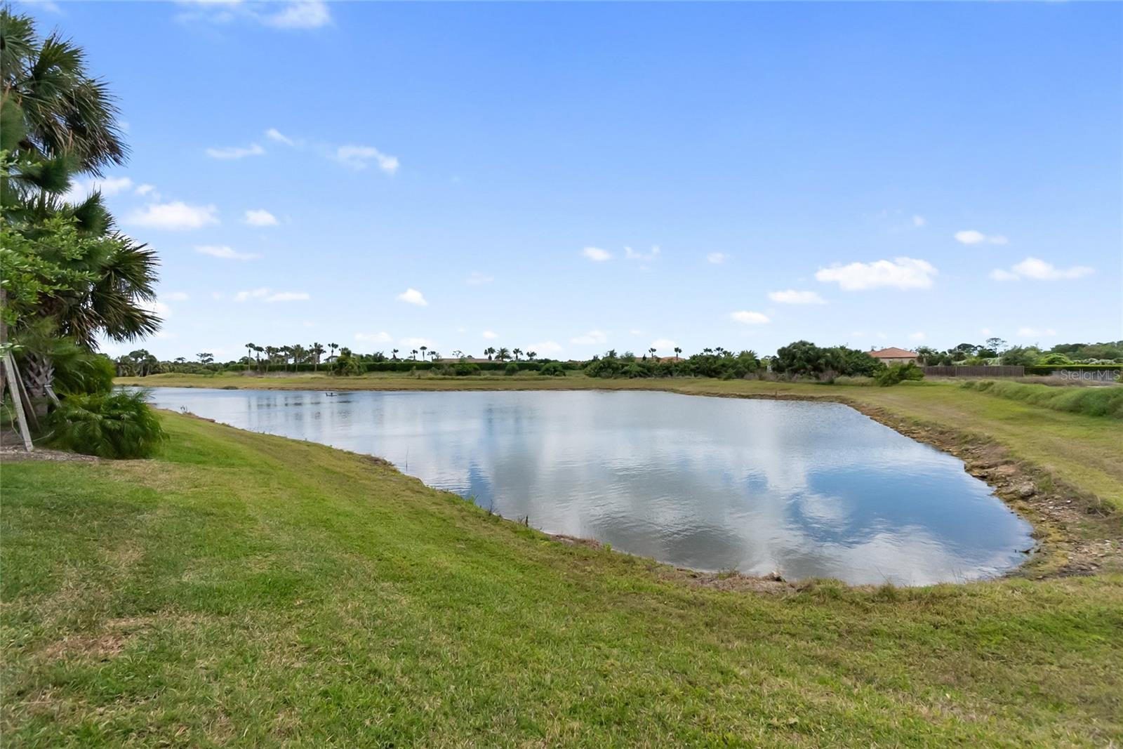 Image 37 of 60 For 12725 Lateral Root Drive