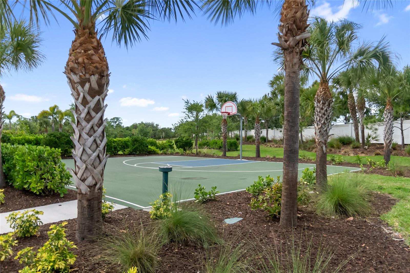 Image 53 of 60 For 12725 Lateral Root Drive