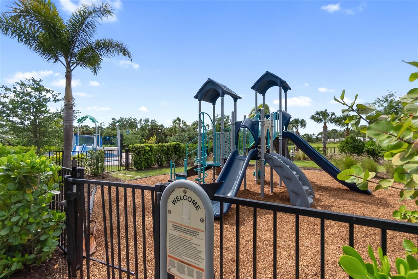 Image 54 of 60 For 12725 Lateral Root Drive