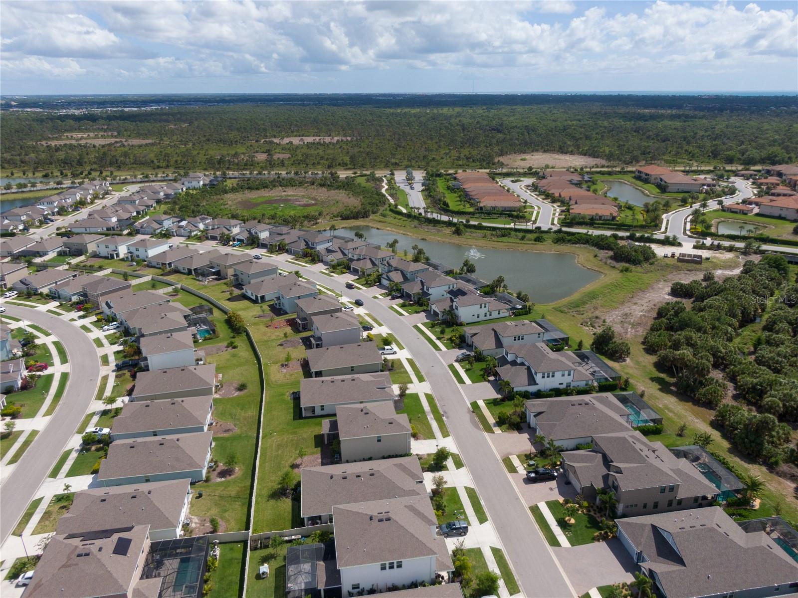 Image 58 of 60 For 12725 Lateral Root Drive