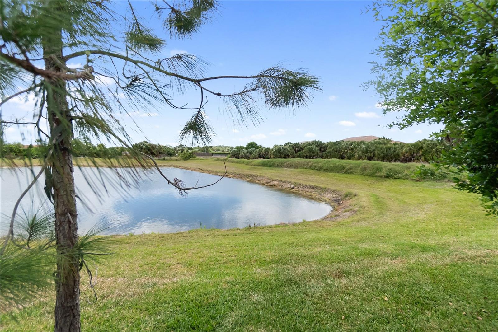 Image 7 of 60 For 12725 Lateral Root Drive