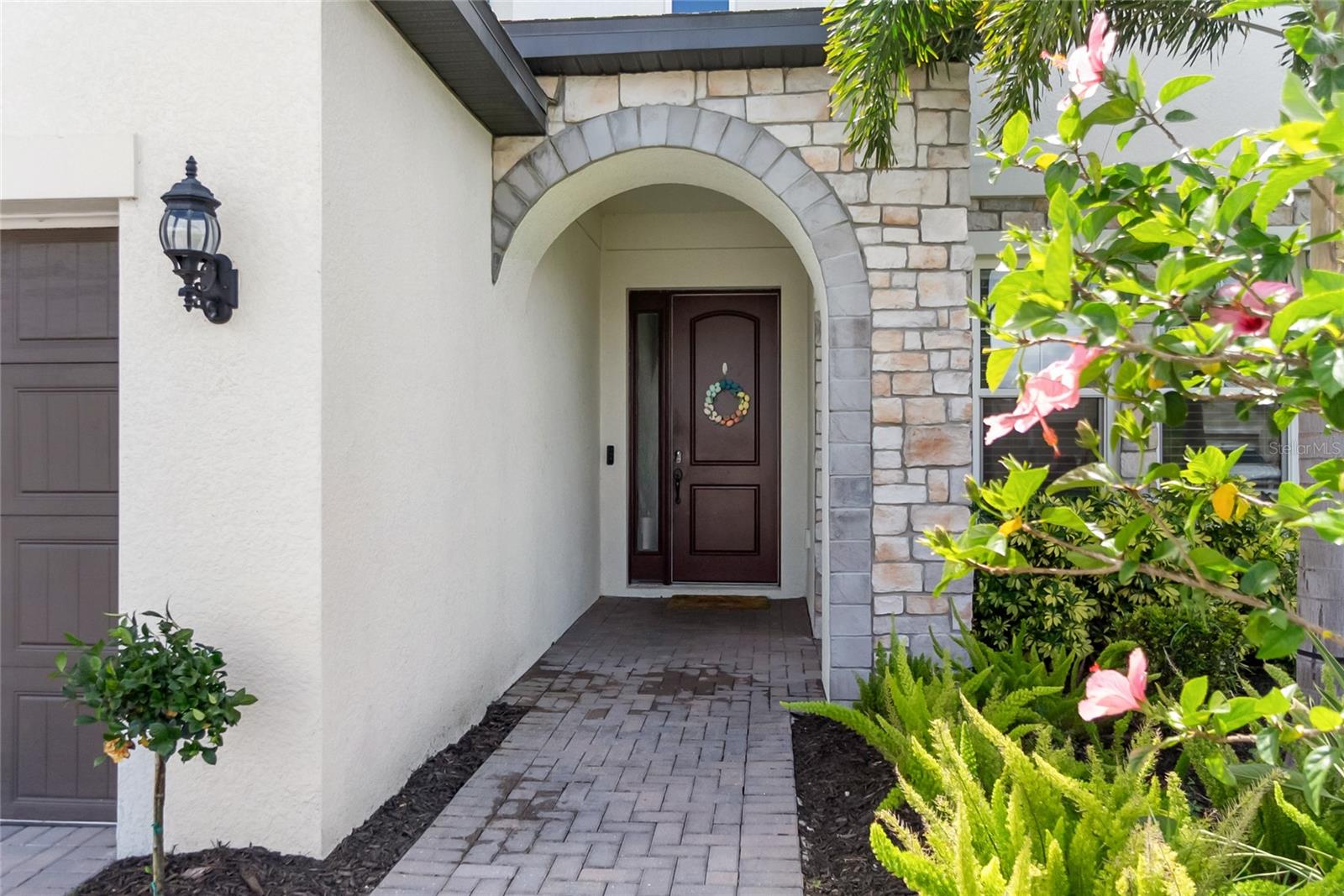 Image 9 of 60 For 12725 Lateral Root Drive