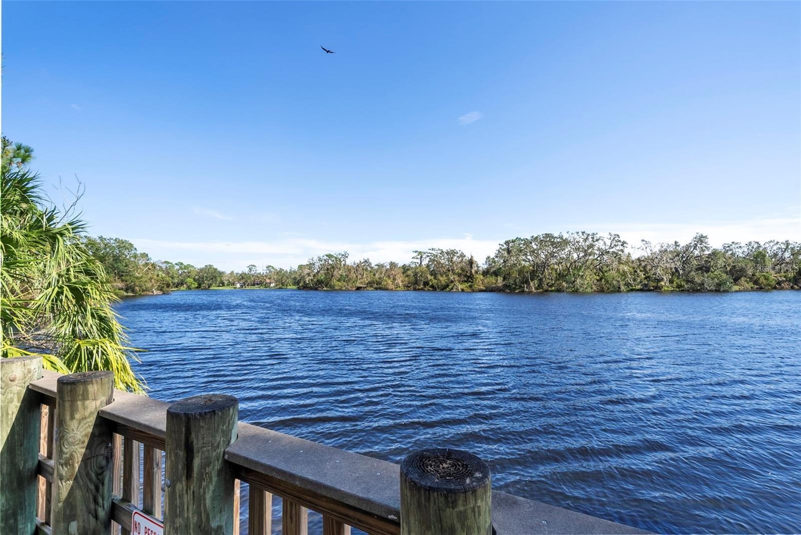 Image 32 of 98 For 8204 Villa Grande Court