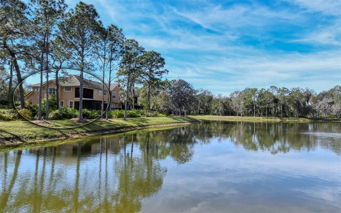 Image 42 of 98 For 8204 Villa Grande Court