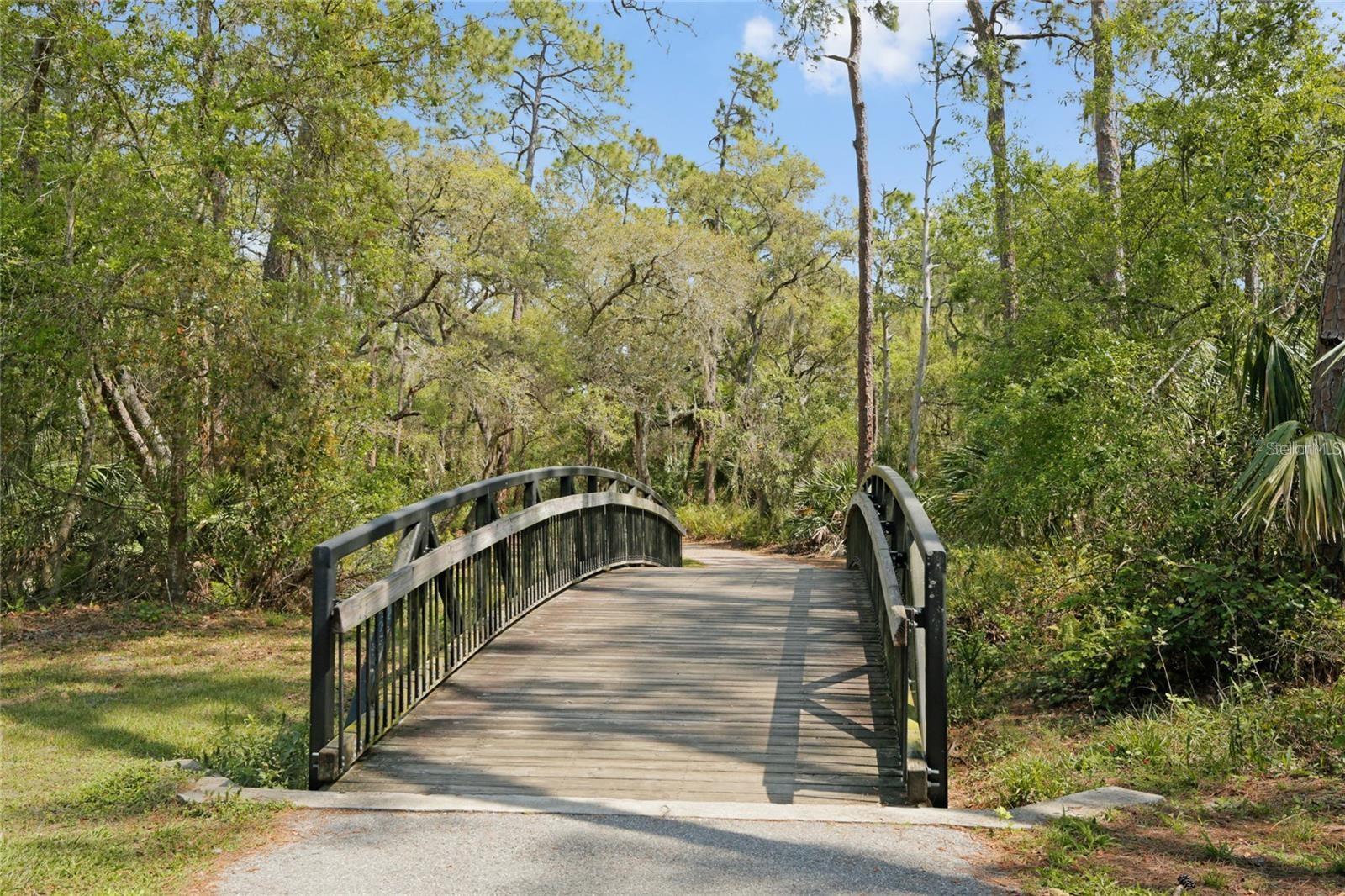 Image 44 of 98 For 8204 Villa Grande Court