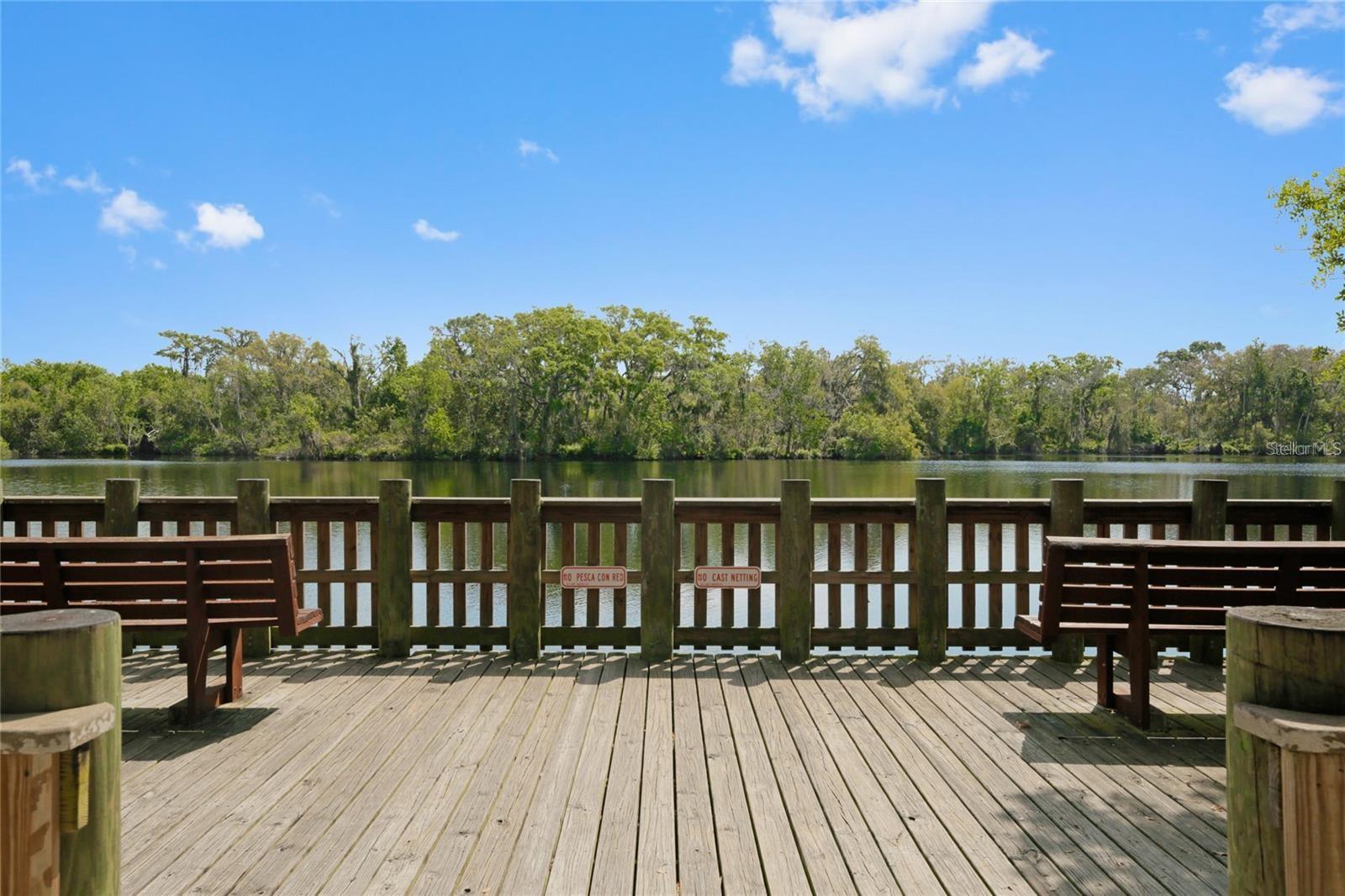 Image 45 of 98 For 8204 Villa Grande Court