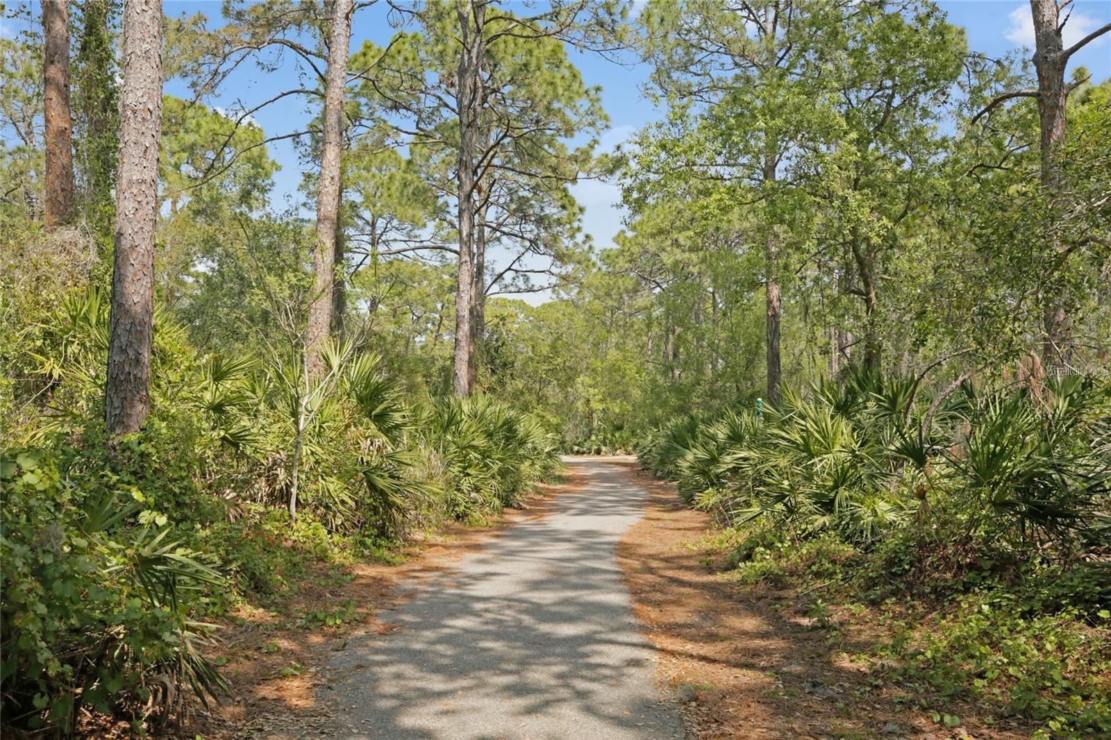 Image 46 of 98 For 8204 Villa Grande Court