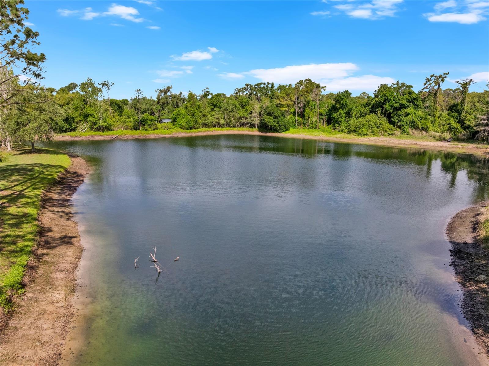 Image 52 of 98 For 8204 Villa Grande Court