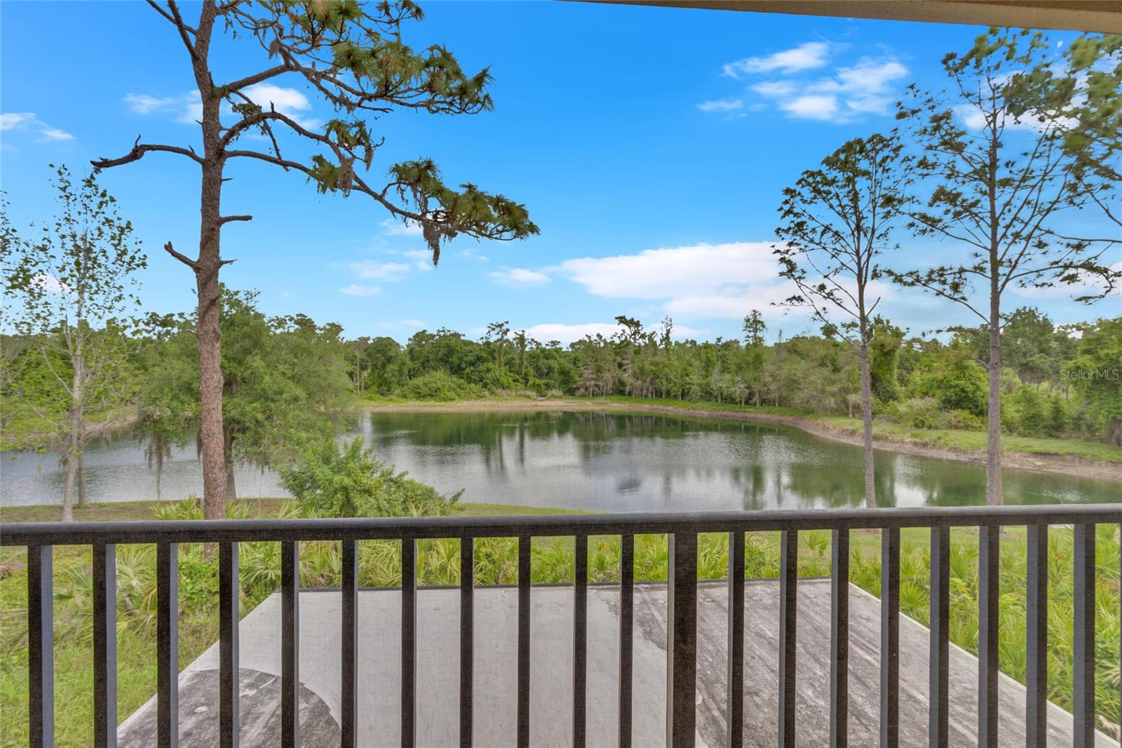 Image 79 of 98 For 8204 Villa Grande Court