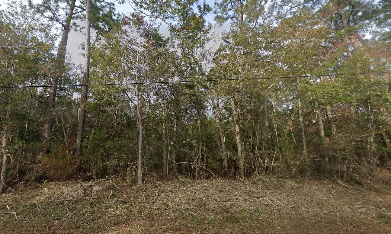Image 2 of 6 For 1875 Pearson Road