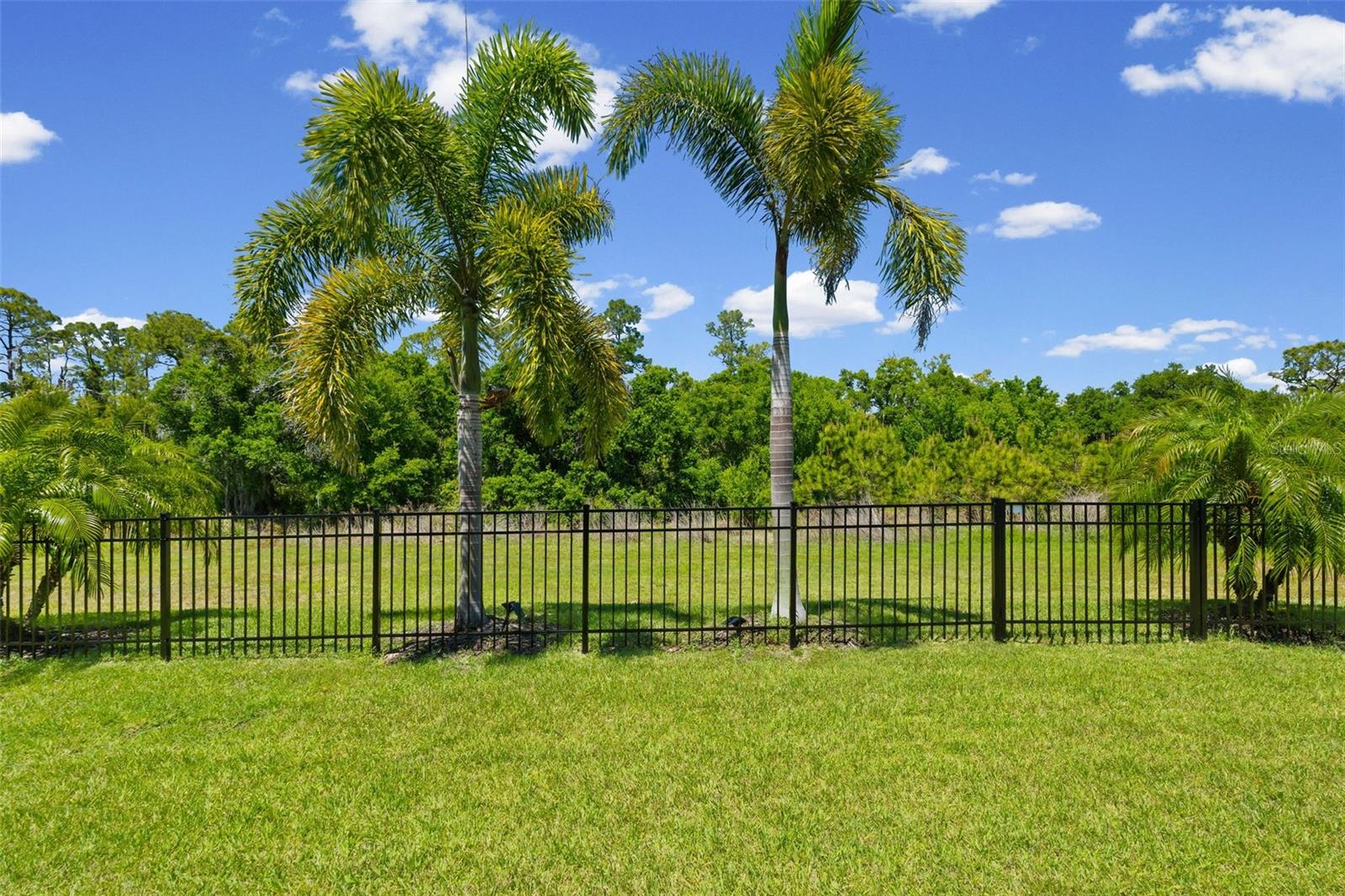 Image 64 of 95 For 17053 Polo Trail