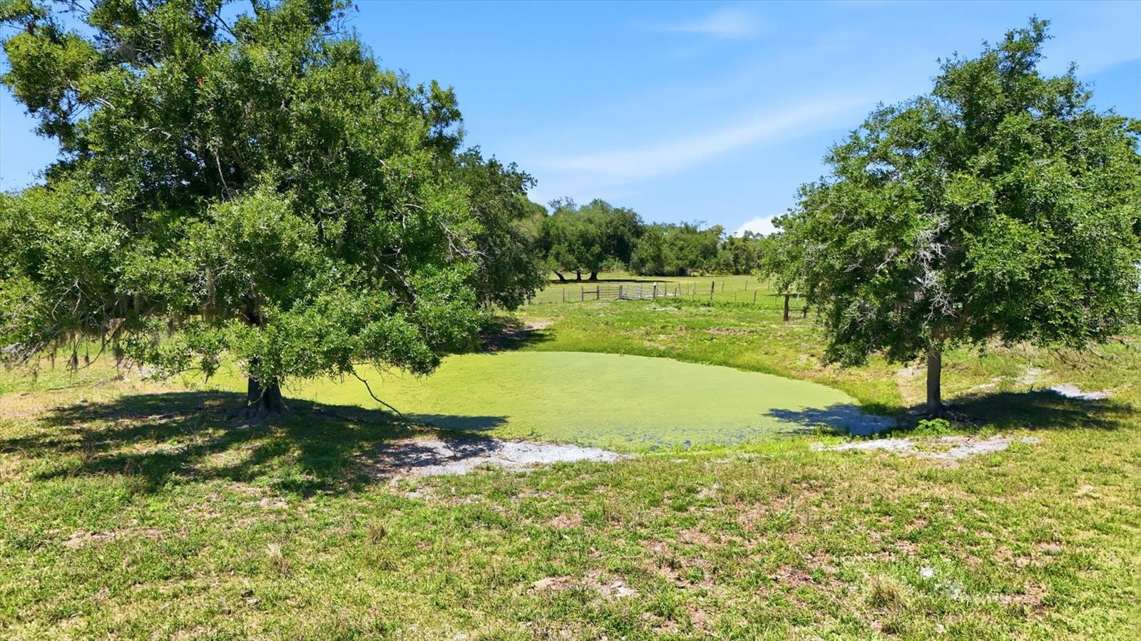 Image 41 of 49 For 30981 Singletary Road