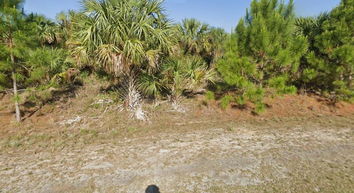 Image 3 of 6 For 1726 Garvey Road Sw