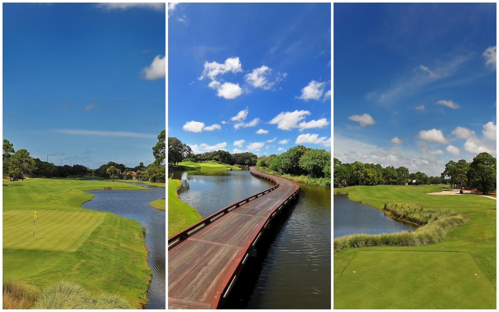 Image 41 of 44 For 51 Macewen Drive 5