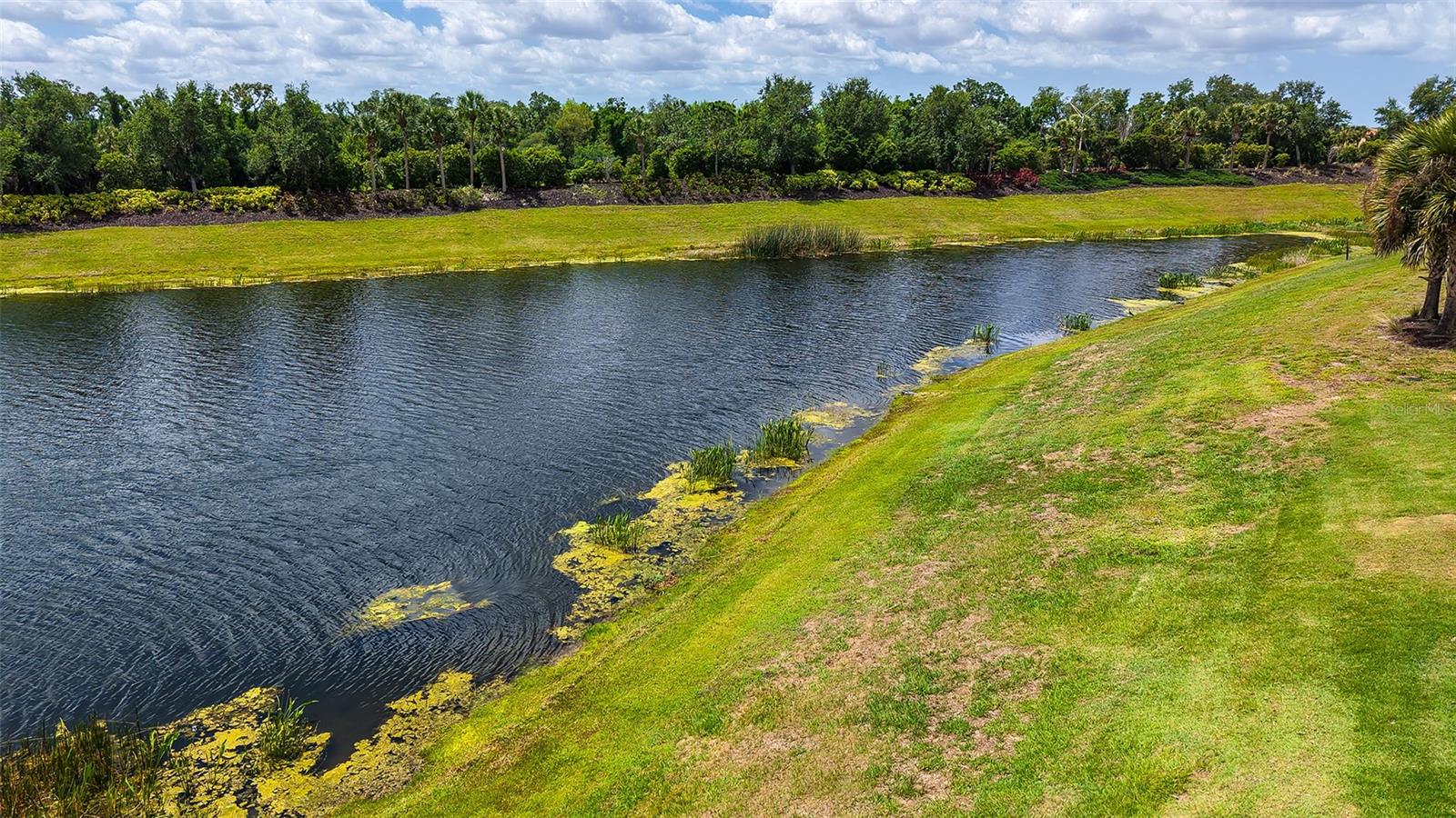 Image 15 of 78 For 13720 Messina Loop 102