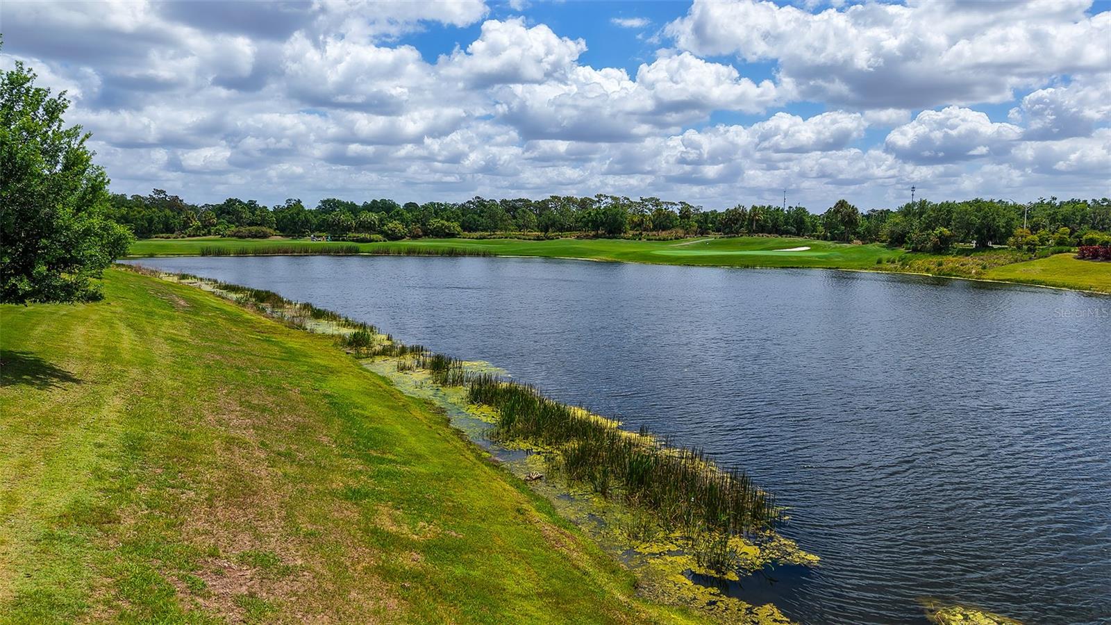 Image 16 of 78 For 13720 Messina Loop 102