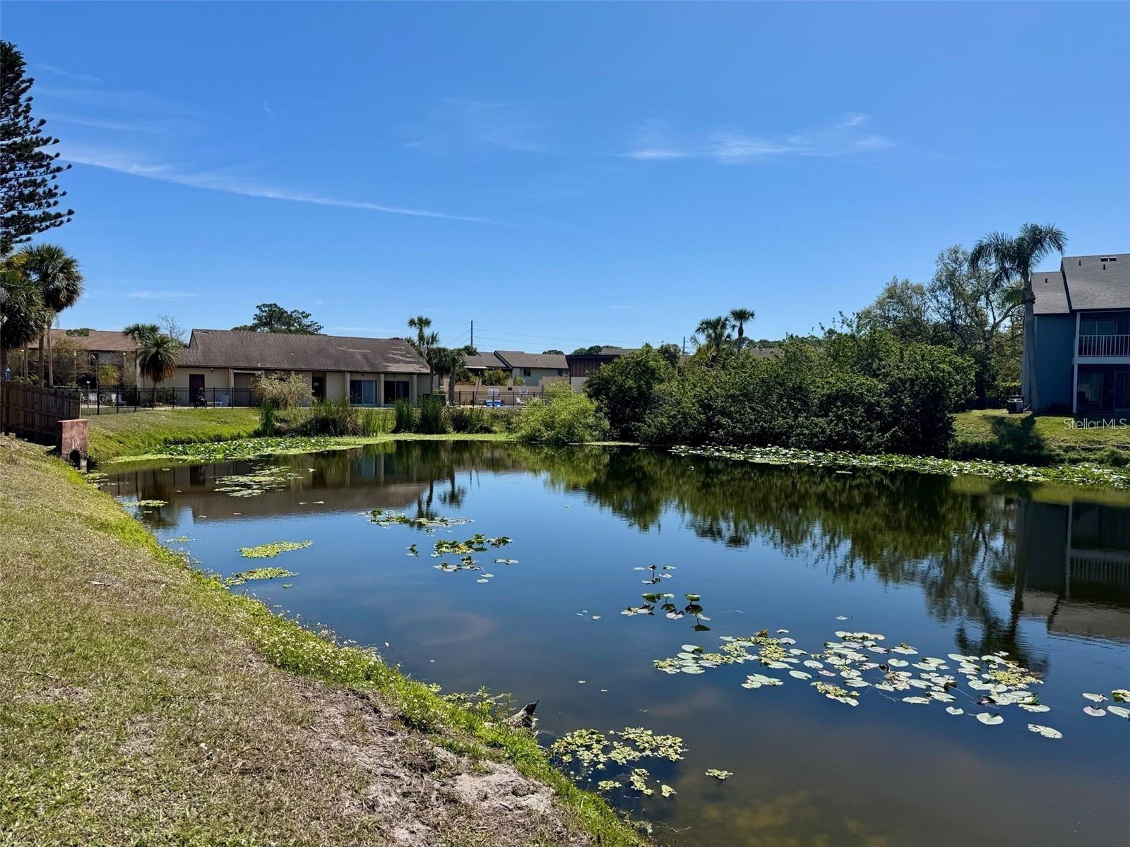 Image 31 of 33 For 2632 Hidden Lake Drive N E