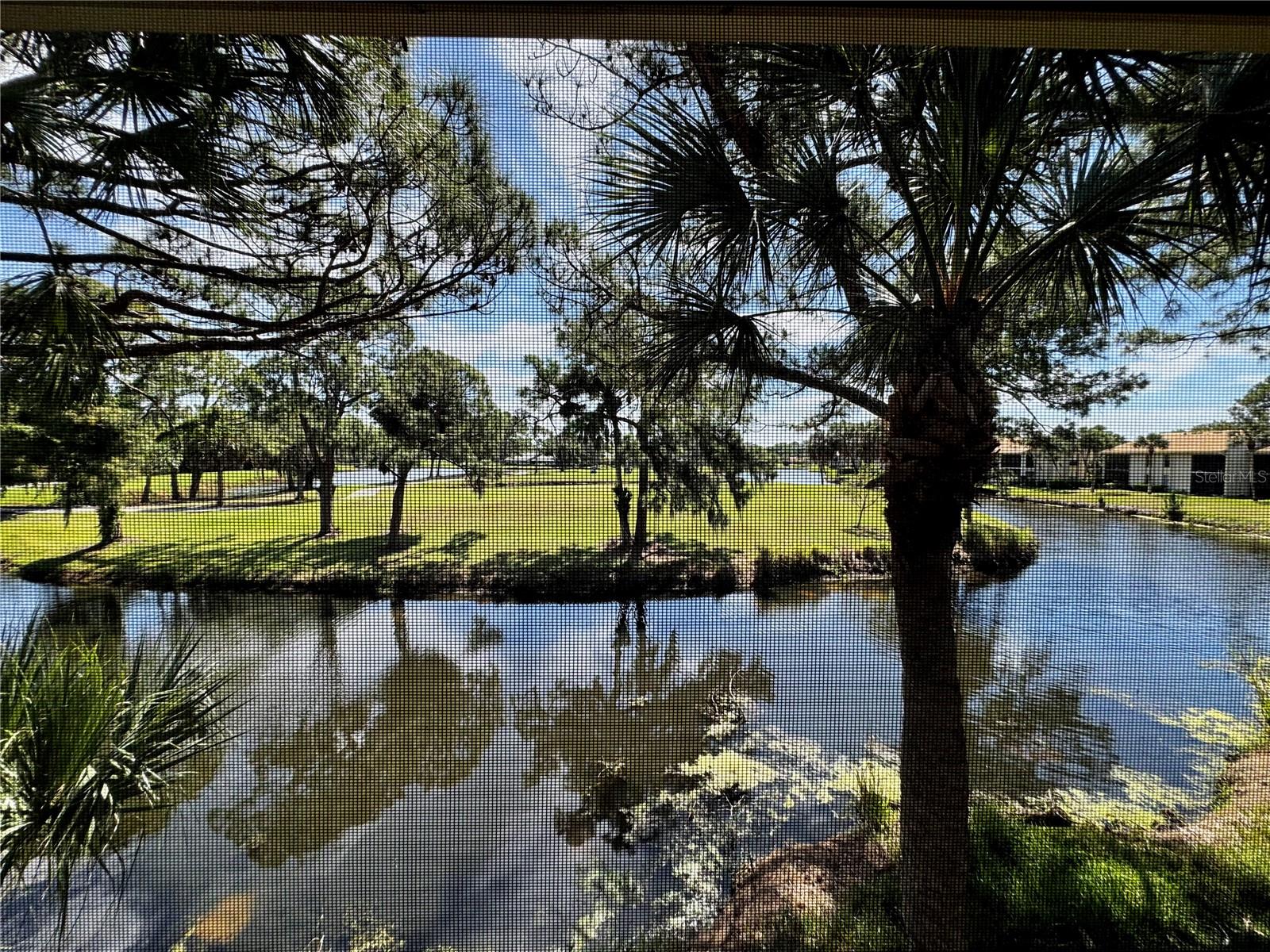 Image 28 of 41 For 4644 Weybridge  10