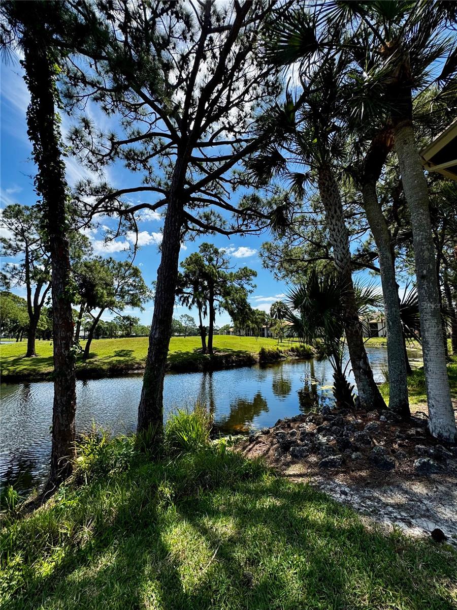 Image 32 of 41 For 4644 Weybridge  10