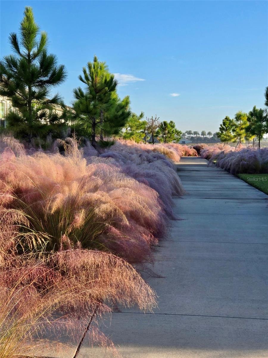 Image 53 of 71 For 1104 Waterline Court