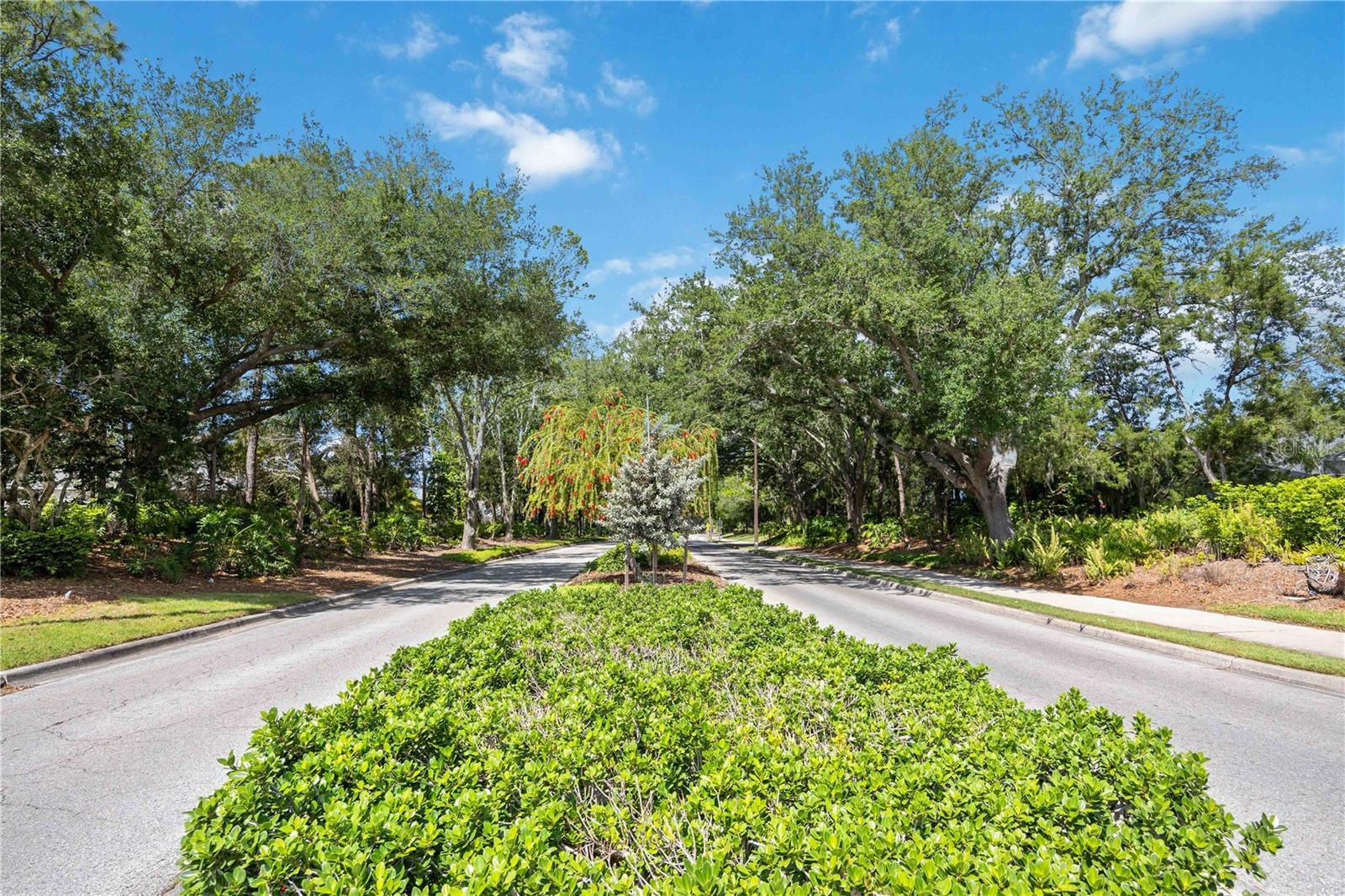 Image 44 of 58 For 6446 Barberry Court