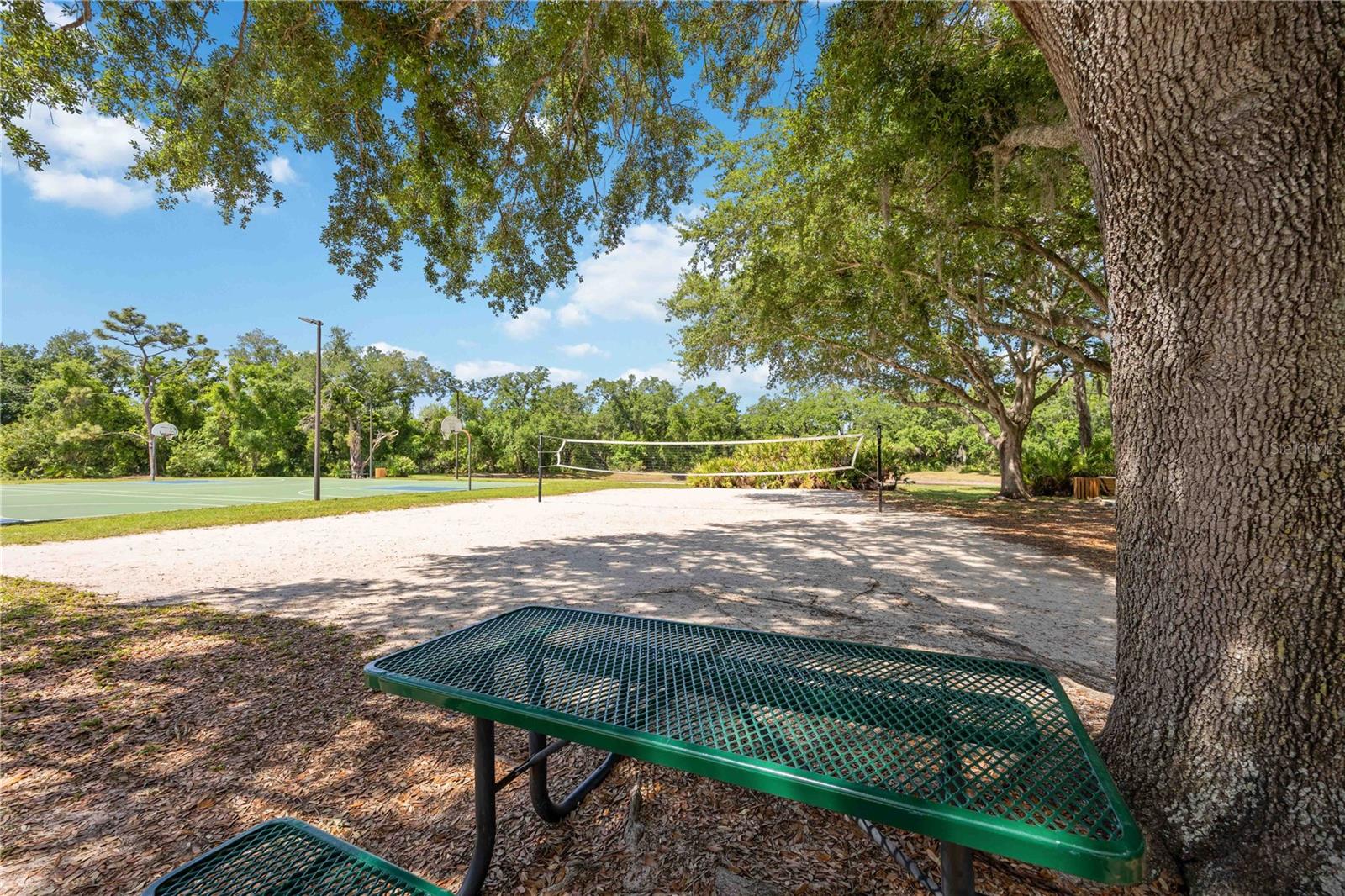 Image 52 of 58 For 6446 Barberry Court