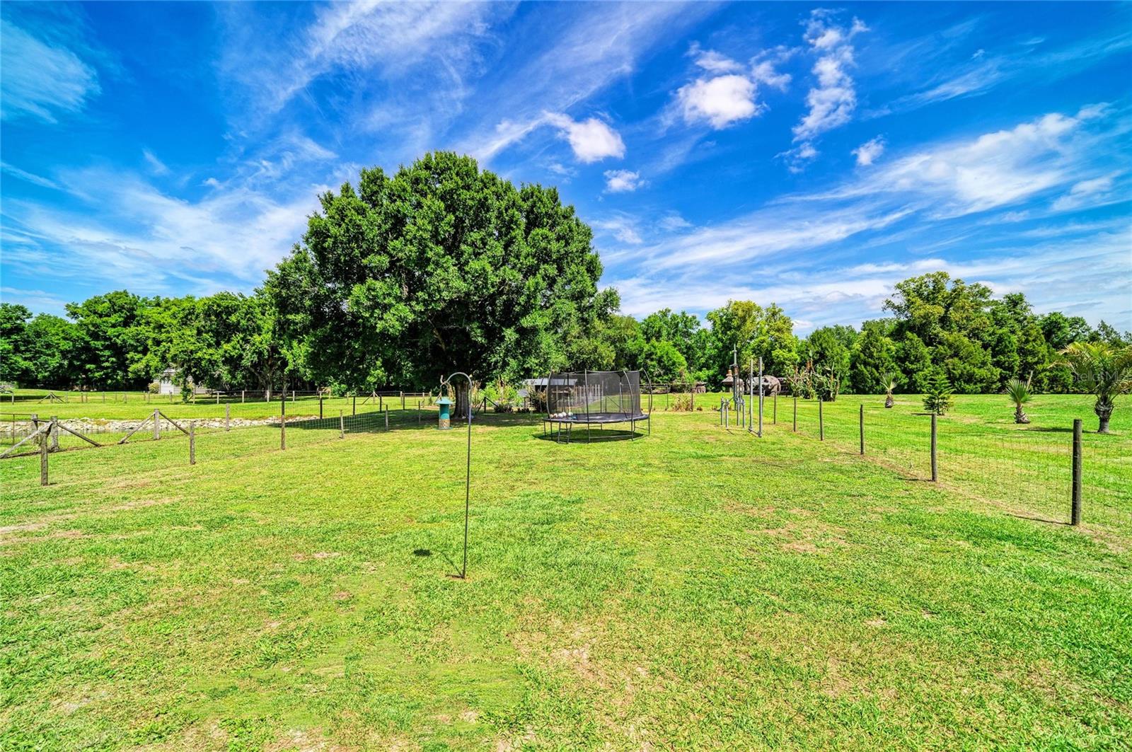 Image 42 of 64 For 12010 69th Street E