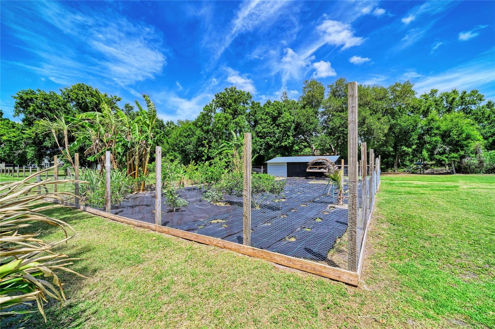 Image 46 of 64 For 12010 69th Street E