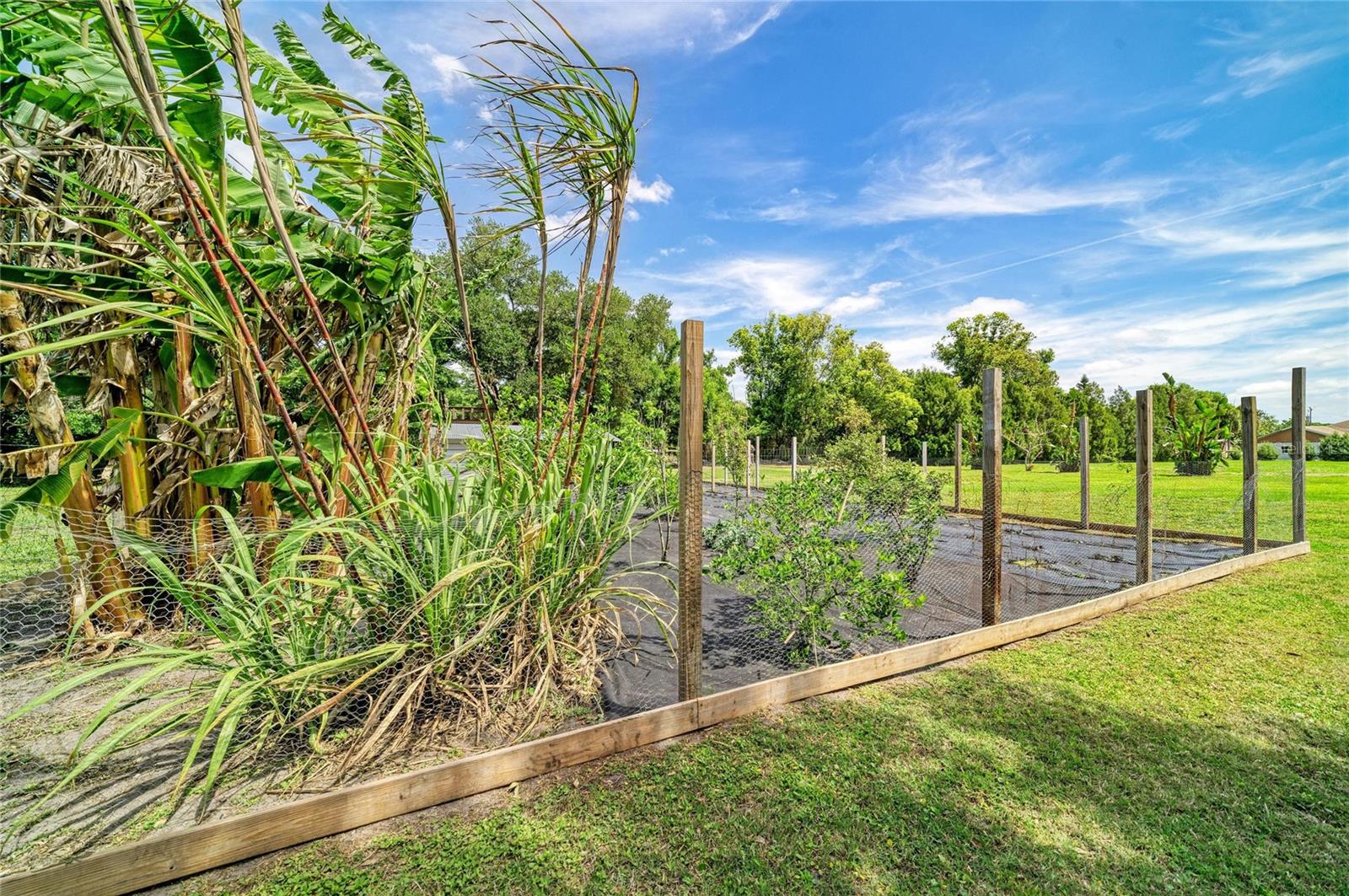 Image 48 of 64 For 12010 69th Street E