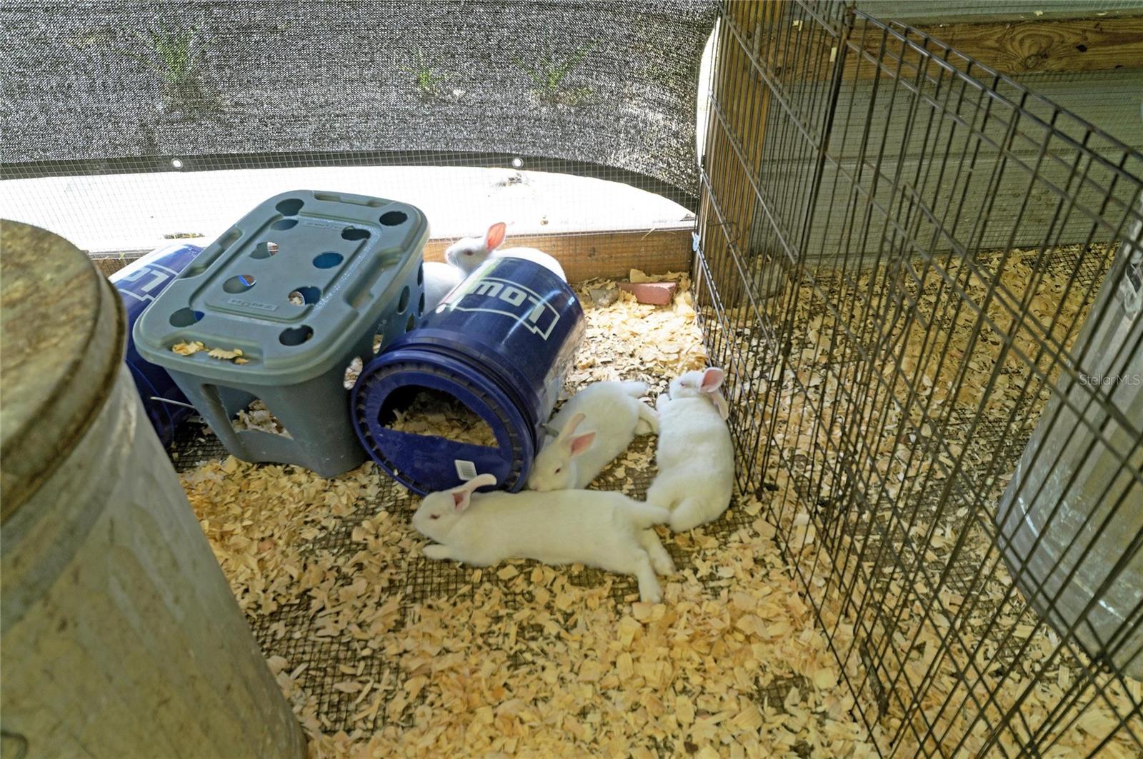 Image 52 of 64 For 12010 69th Street E