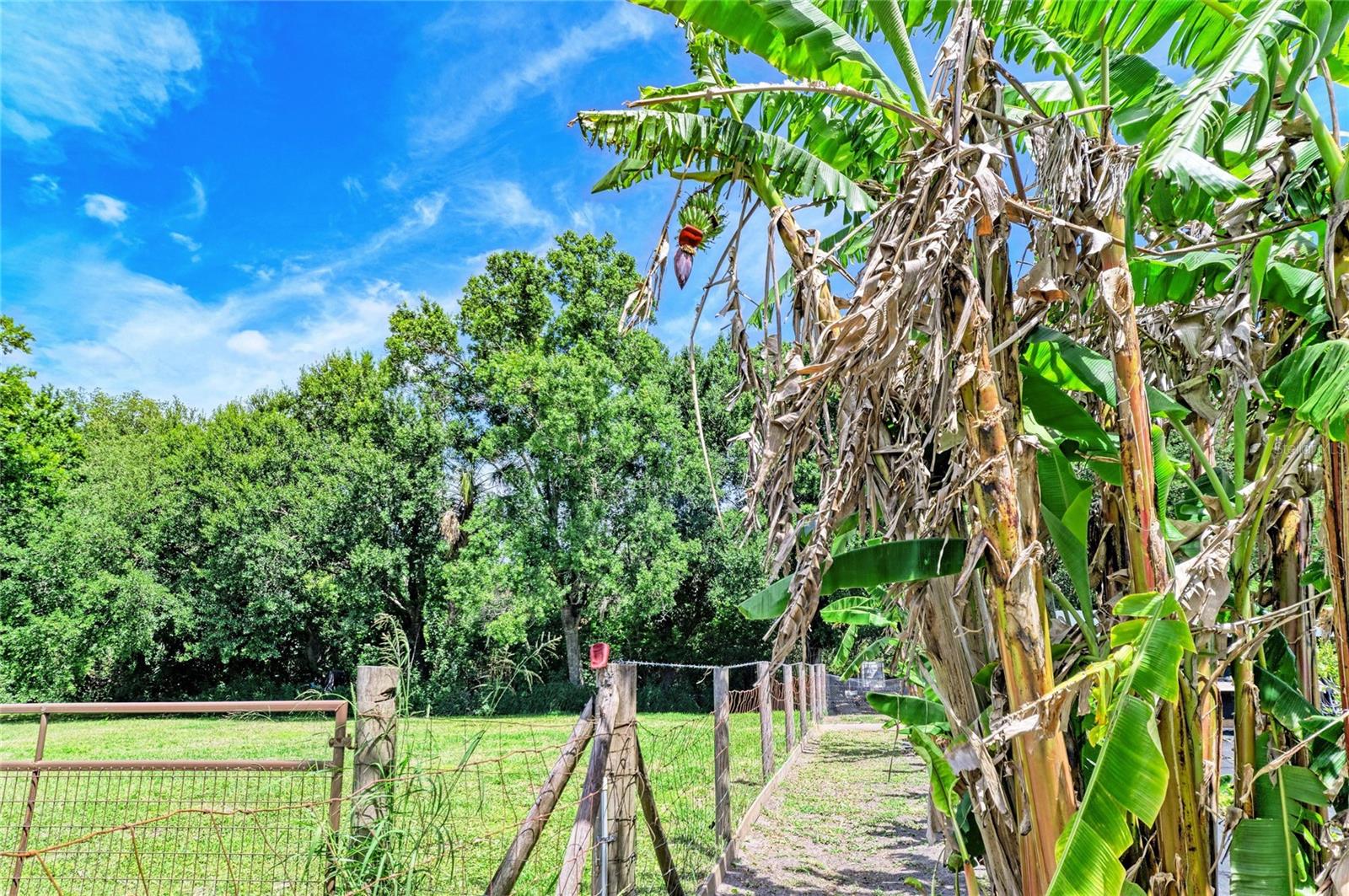 Image 57 of 64 For 12010 69th Street E