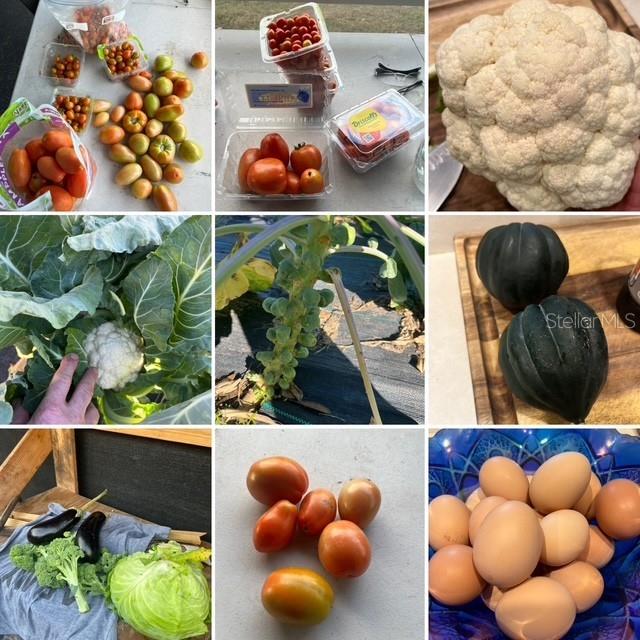 Image 63 of 64 For 12010 69th Street E